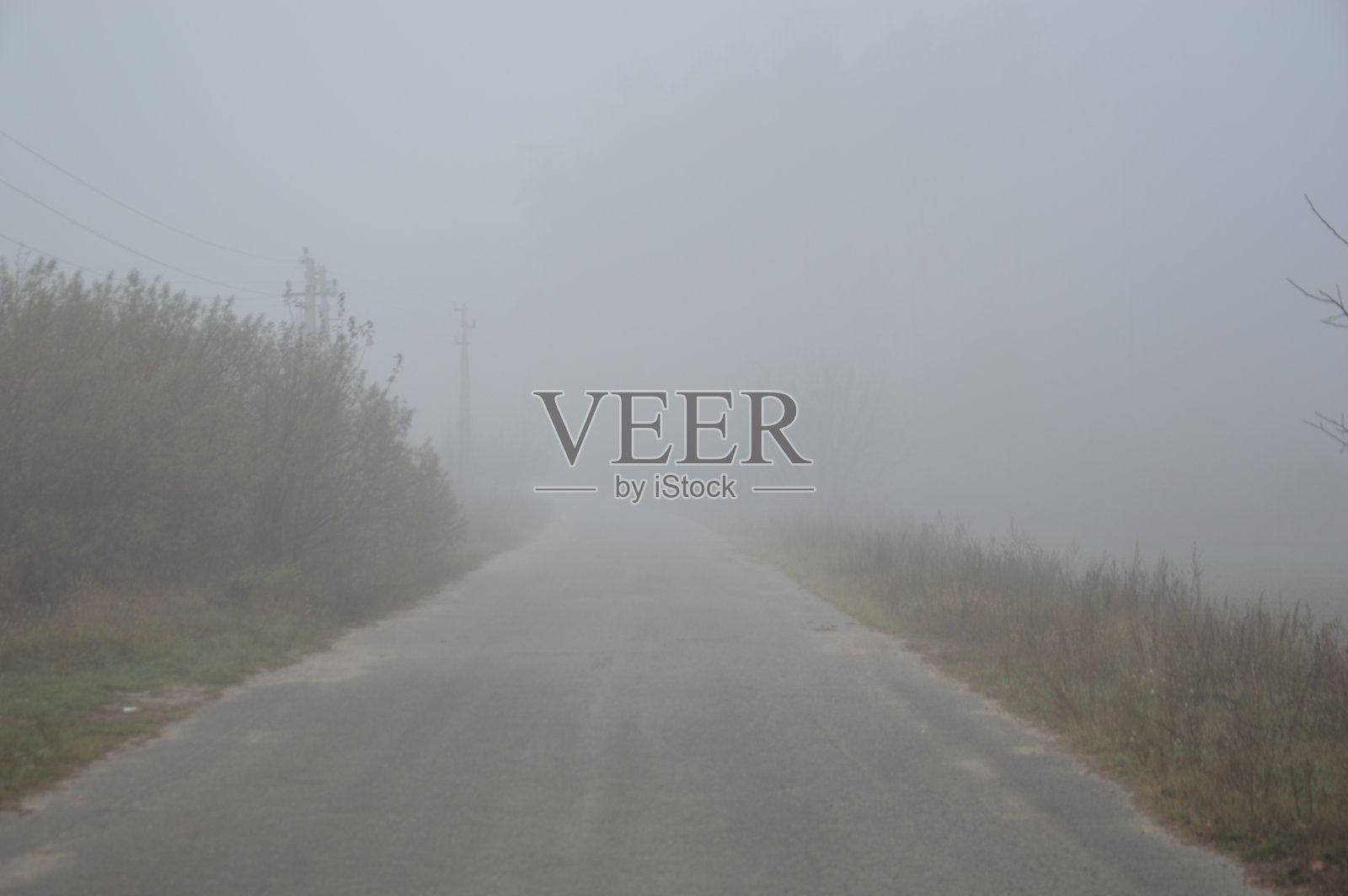 森林里一夜之后的晨雾照片摄影图片