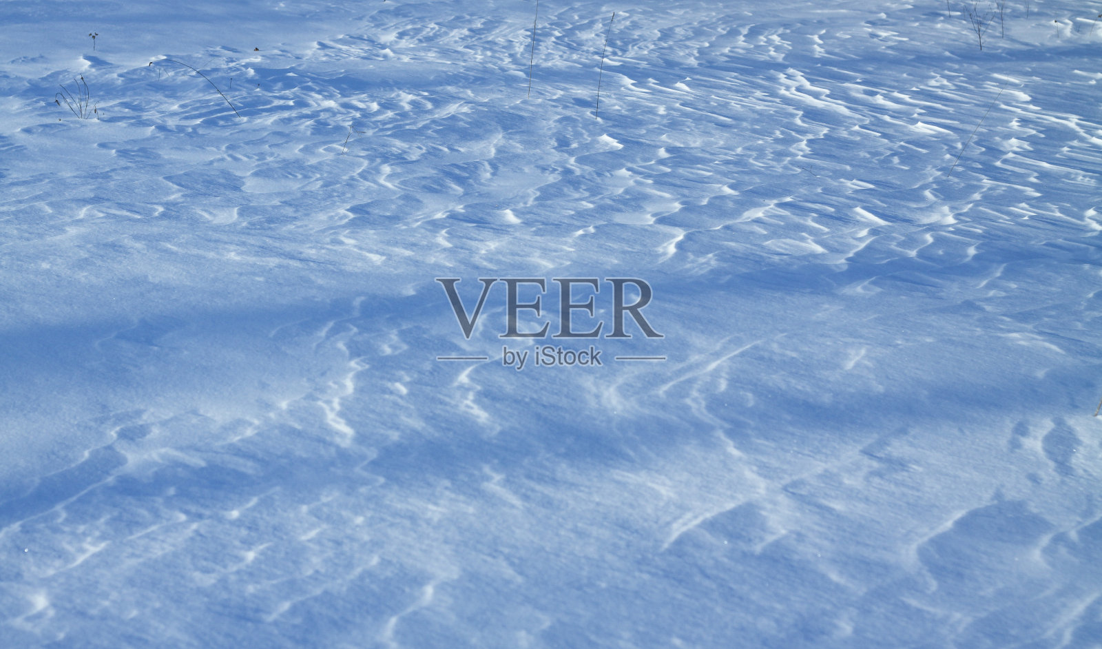 白雪和被它庇护的大地。农村和降雪。冬天的沙丘和雪山。股票的背景。照片摄影图片