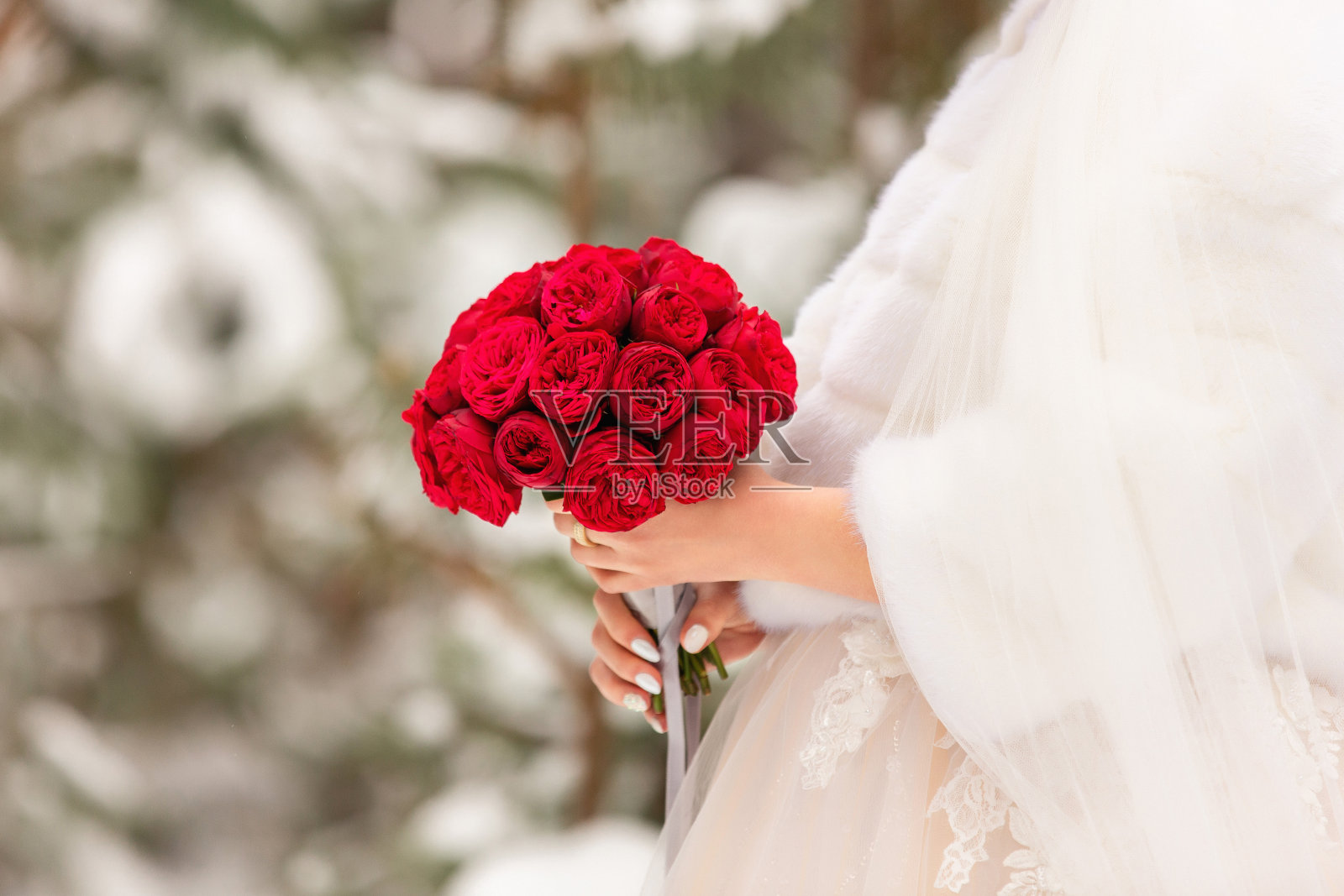 冬季婚礼。新娘捧红花束照片摄影图片