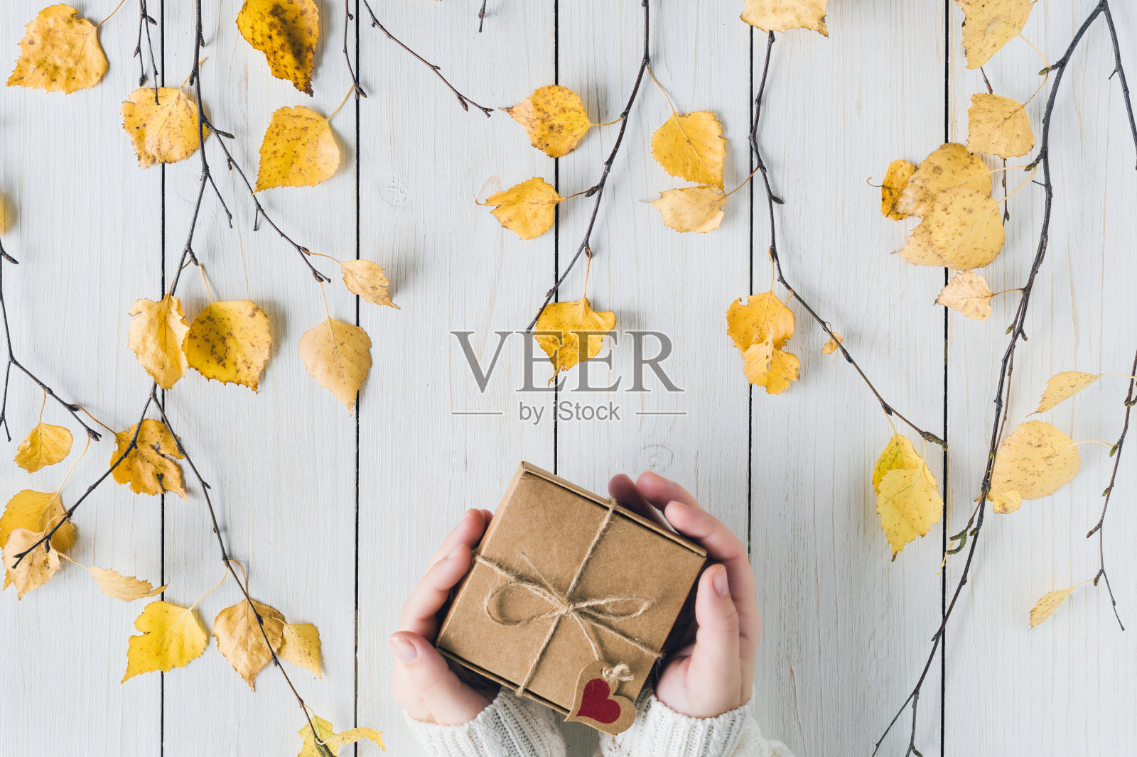 女人包装礼物在牛皮纸盒子上的白色复古木板。叶子,白桦树枝。感恩节。秋天,秋天的概念。平躺，俯视图。照片摄影图片