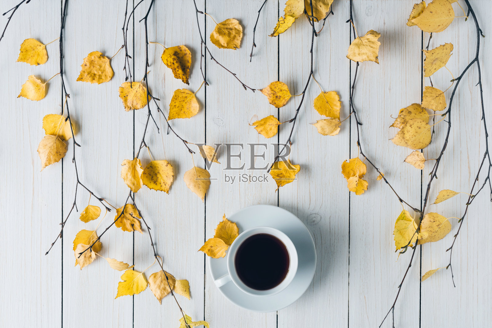 女人与一杯咖啡在桦树的树枝与黄色的叶子在白色复古的木板。背景。秋天,秋天的概念。平躺，俯视图。咖啡的艺术照片摄影图片