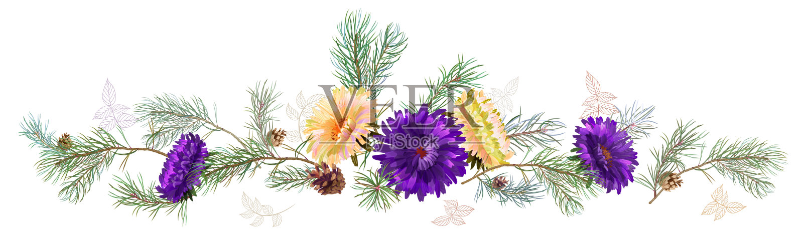 全景:白色，紫罗兰菊花(金色雏菊，紫菀，雏菊)，松枝，球果。水平边界为圣诞节，白色背景。植物插图，水彩风格，矢量插画图片素材