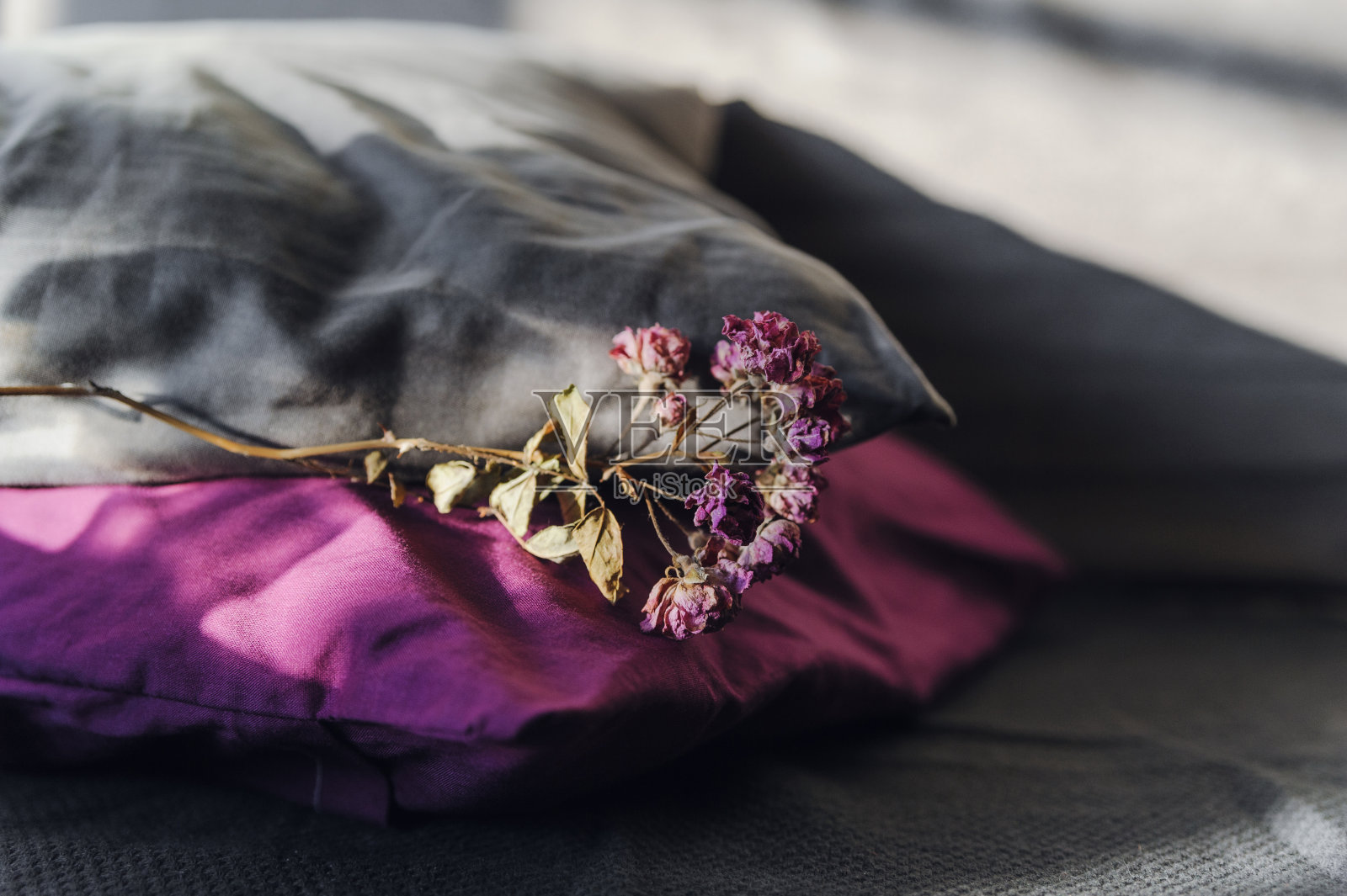 玫瑰的干枝。装饰的目的照片摄影图片