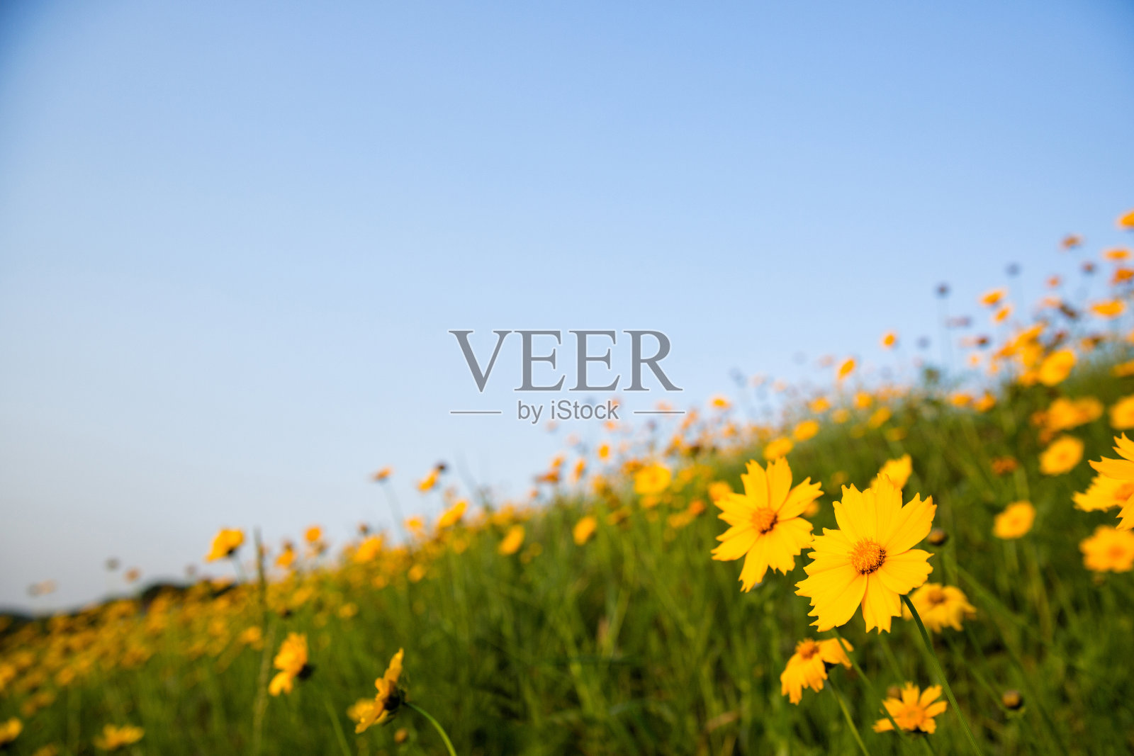 Cheonheung水库照片摄影图片