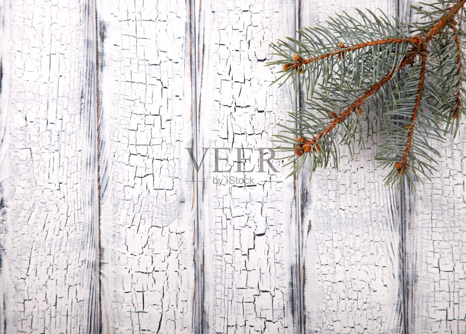 圣诞背景与冷杉枝照片摄影图片