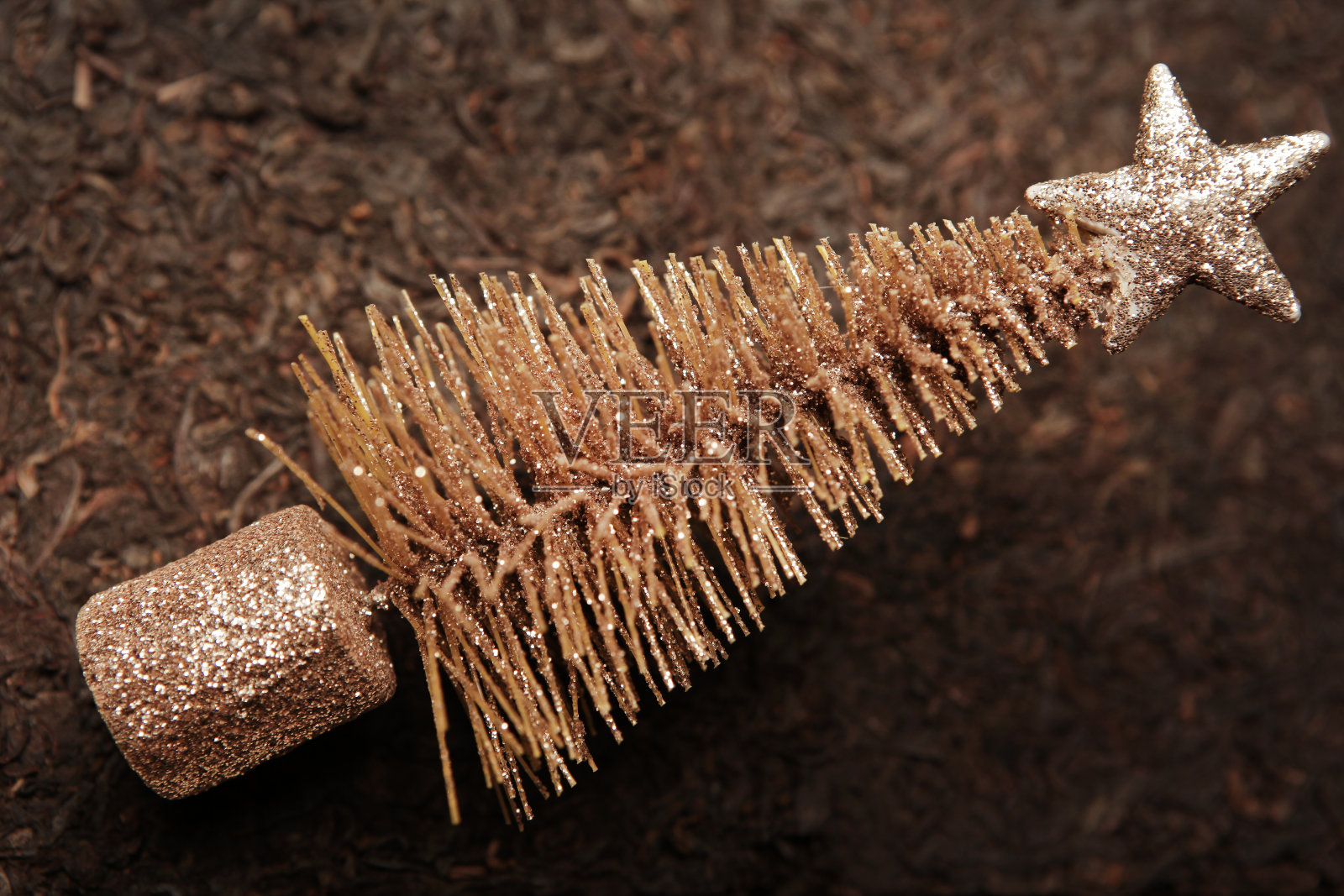微型杉树茶背景照片摄影图片