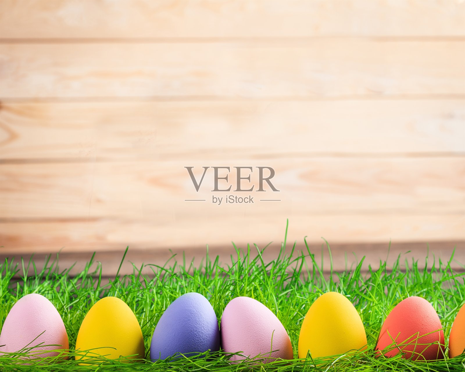 复活节。照片摄影图片