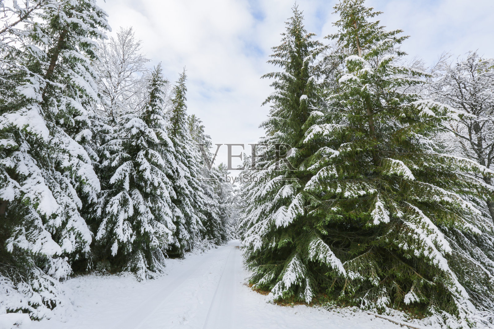 第一场雪照片摄影图片