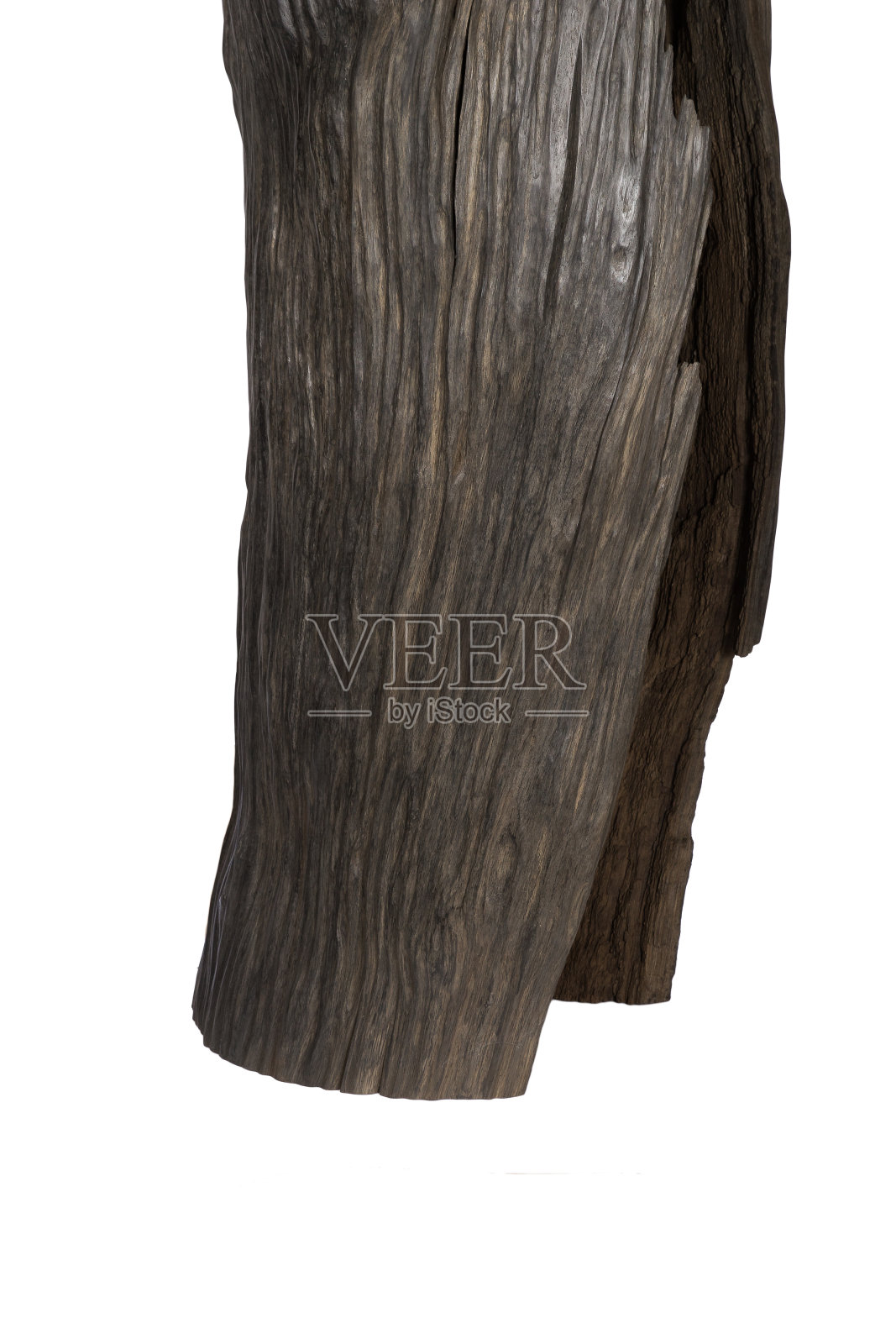 漂亮的手工雕刻橡木雕塑。老沼泽橡木照片摄影图片