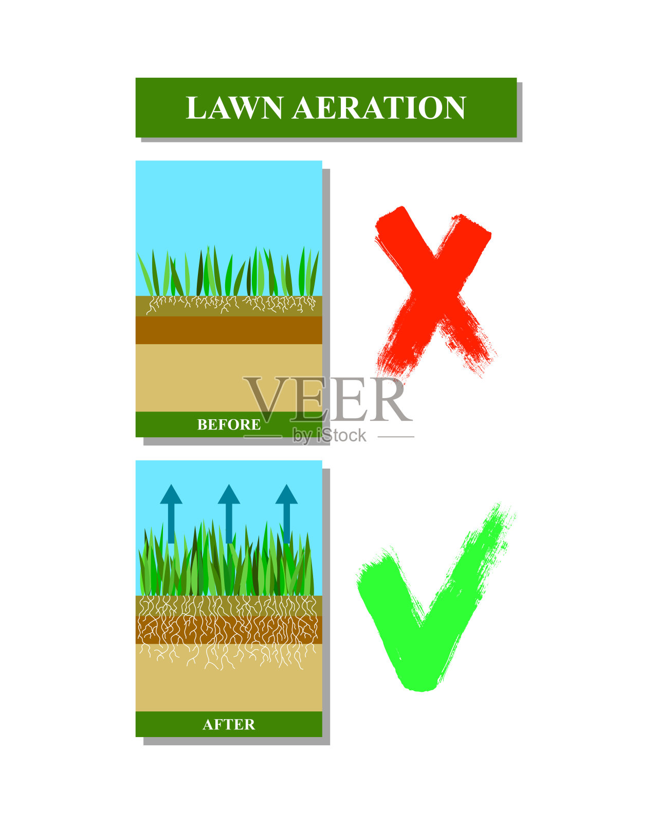 草坪通气前后，矢量图。插画图片素材