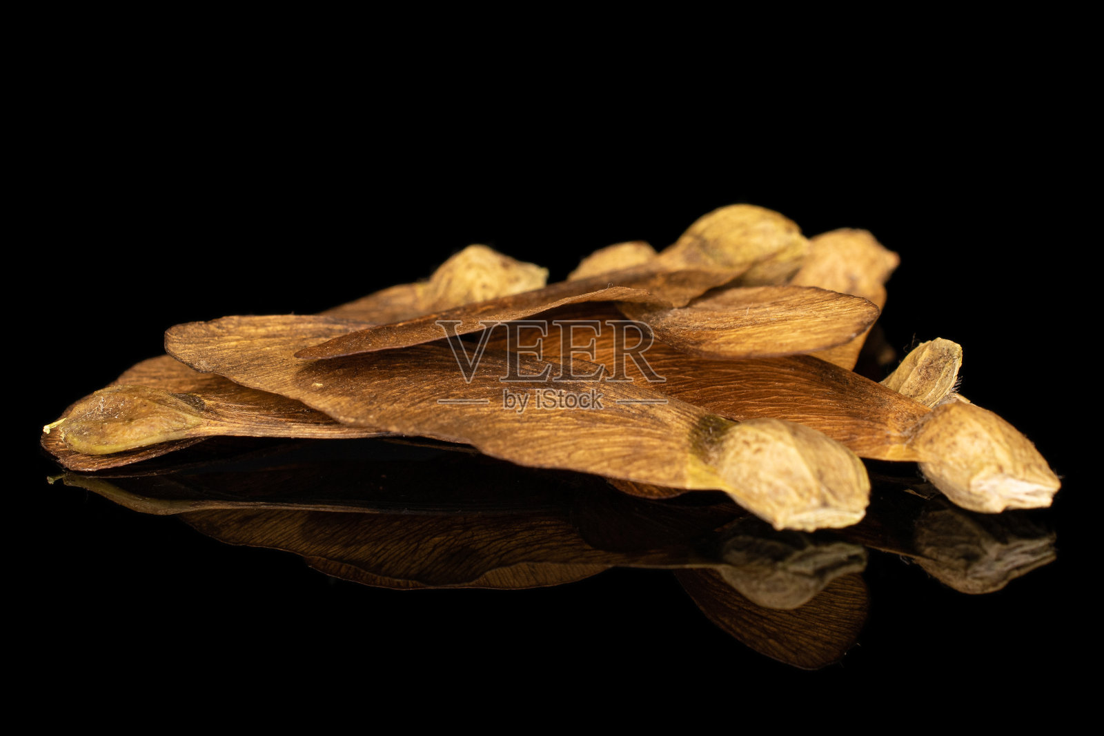 酒棕色翅果瘦果孤立在黑色玻璃上照片摄影图片