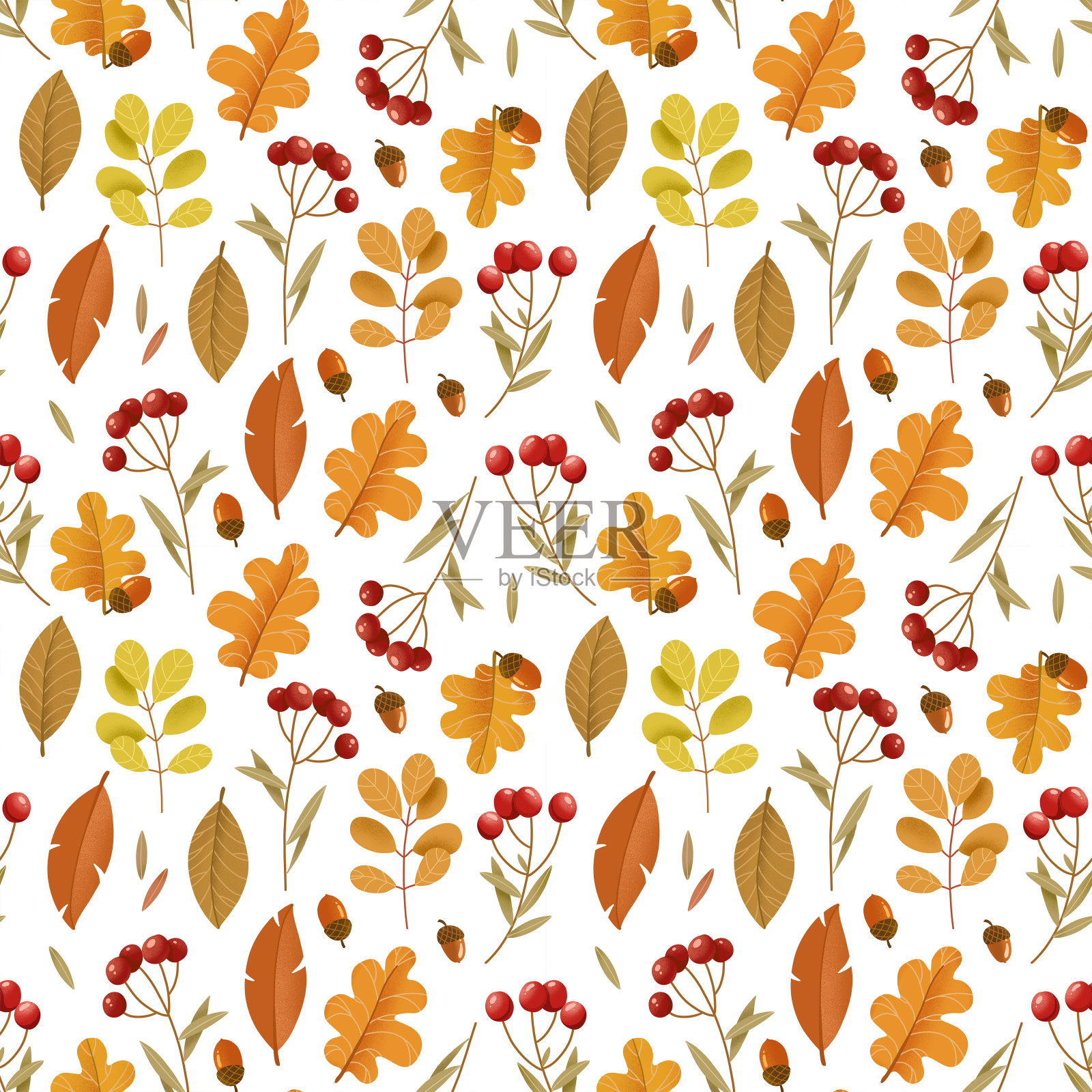 秋天的插图。明秋无缝图案。白色背景上的叶子和红浆果。壁纸。插画图片素材