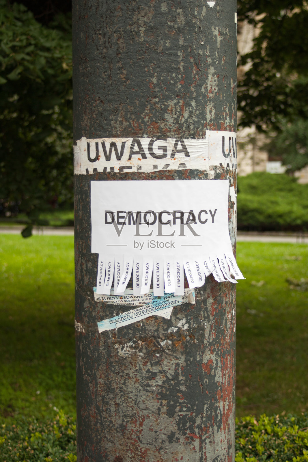 民主照片摄影图片