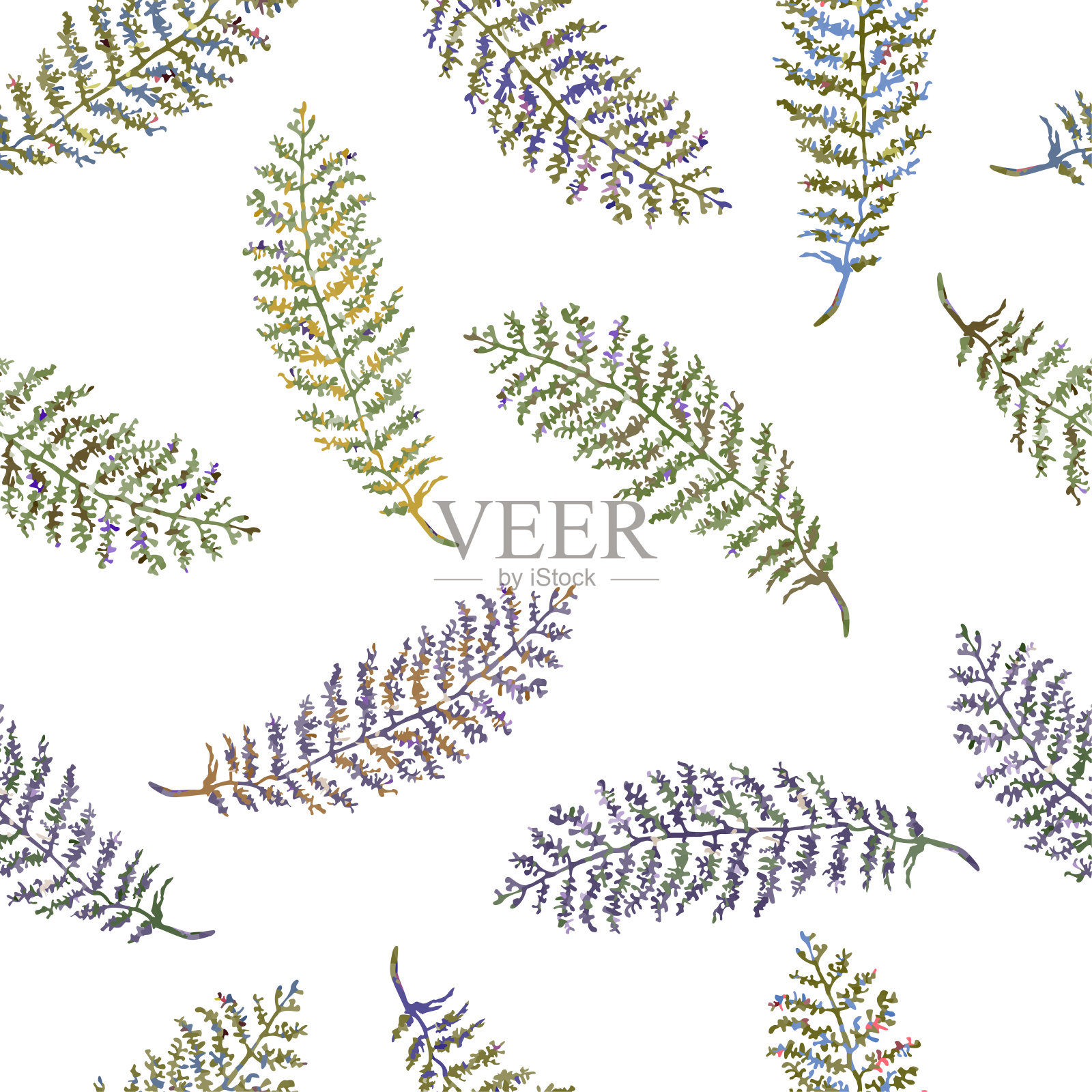 无缝模式与草药，植物插画图片素材