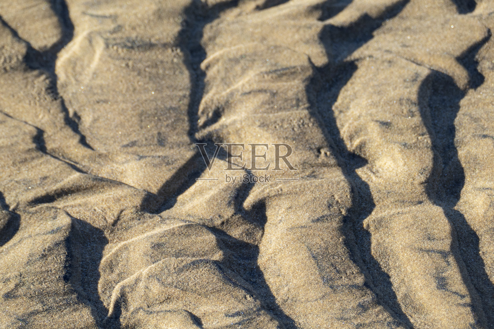 沙滩上的花纹照片摄影图片