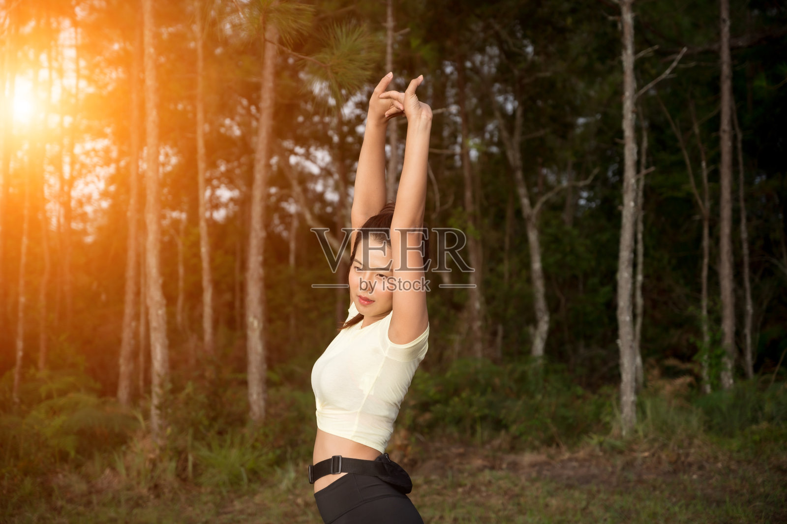 一个在山间松林中徒步的女人。照片摄影图片