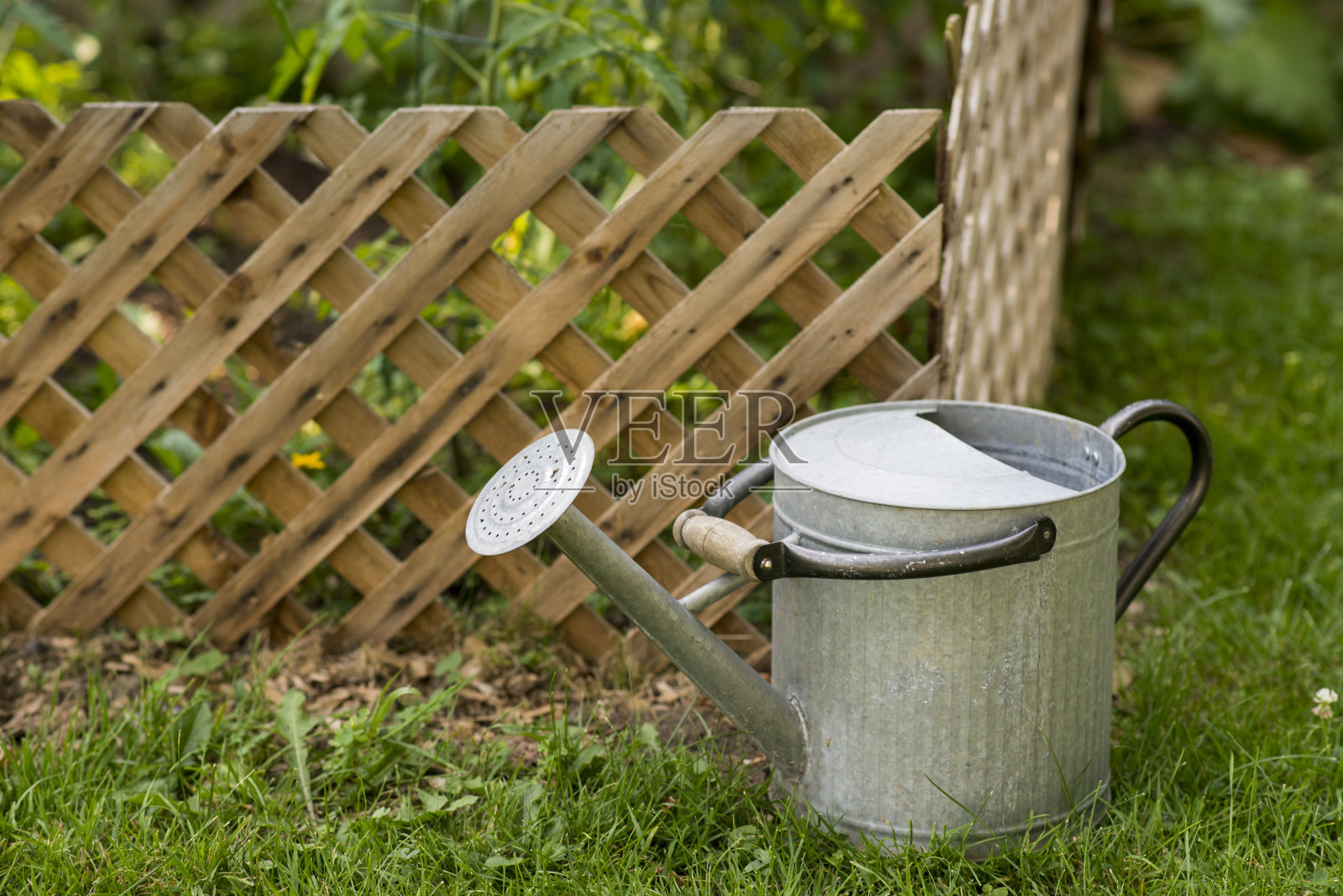花园旁的钢制喷壶照片摄影图片