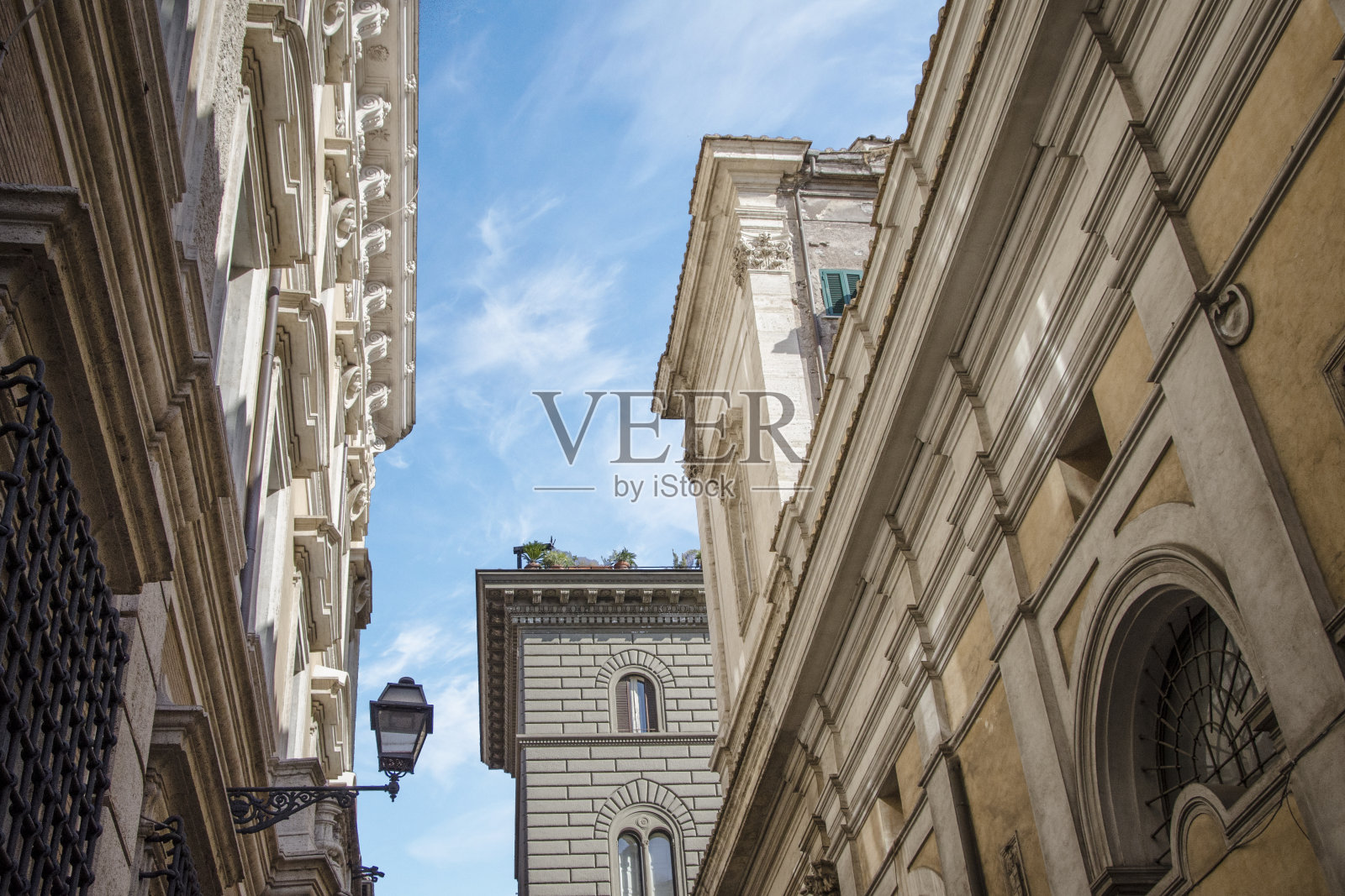 在永恒之城罗马的松树区漫步照片摄影图片