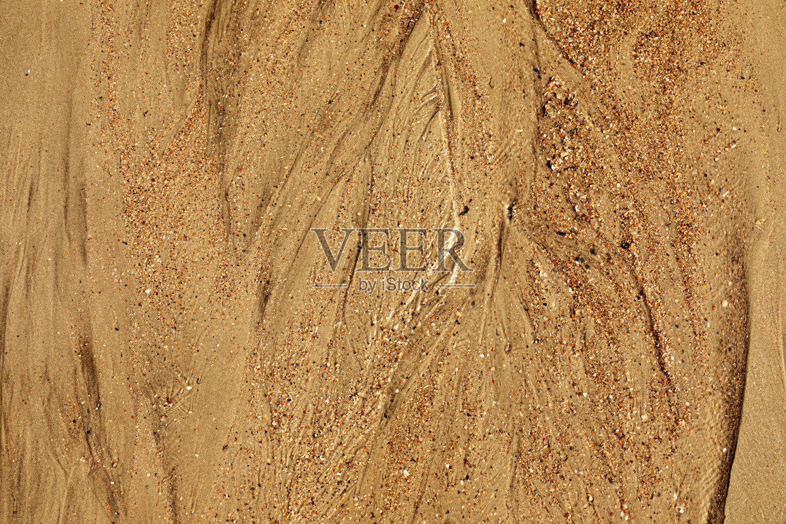 大自然的艺术。海滩上有潮汐的沙滩和贝壳的特写照片摄影图片