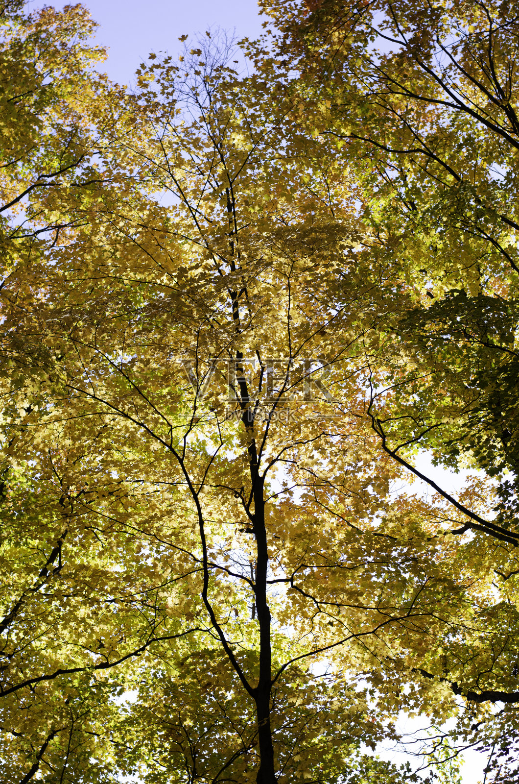 秋天的天空照片摄影图片
