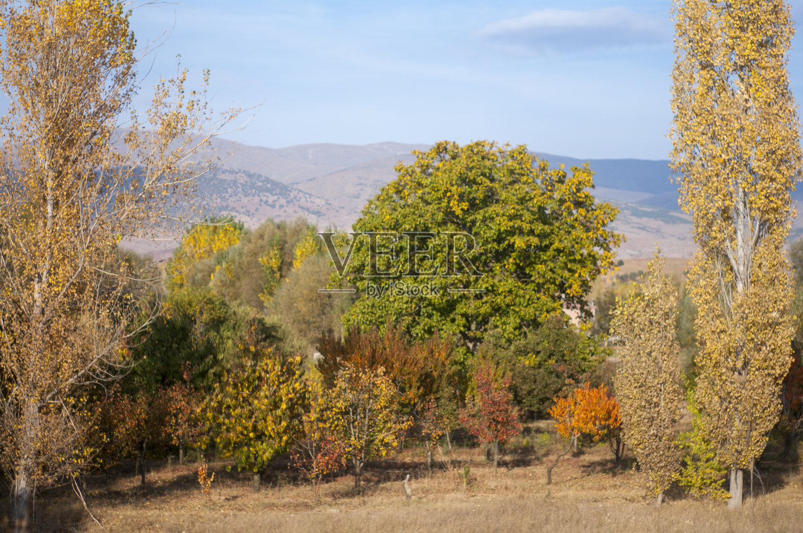 秋天的风景照片摄影图片