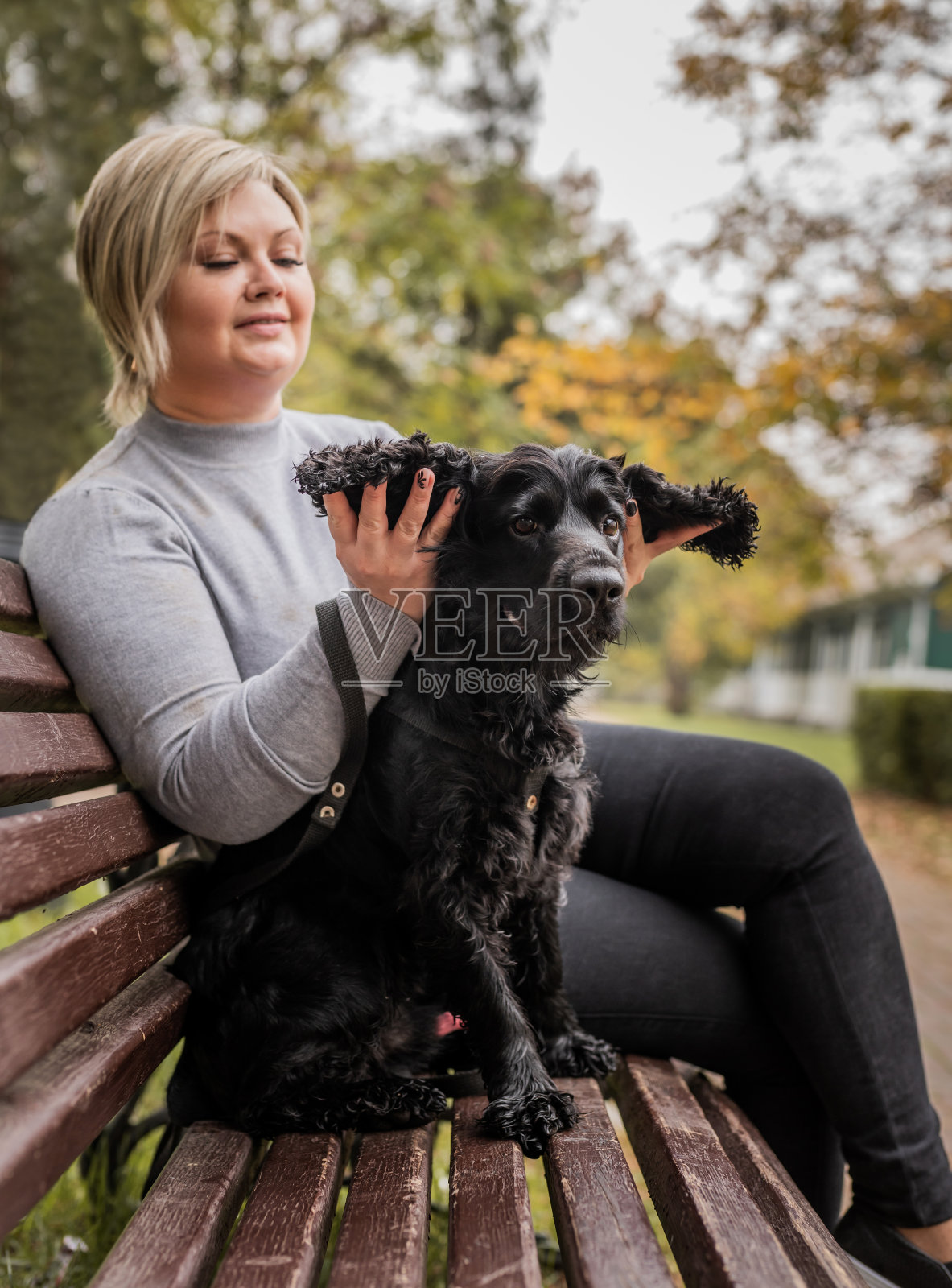 一个年轻女子在公园的长椅上抱着她的可卡犬照片摄影图片
