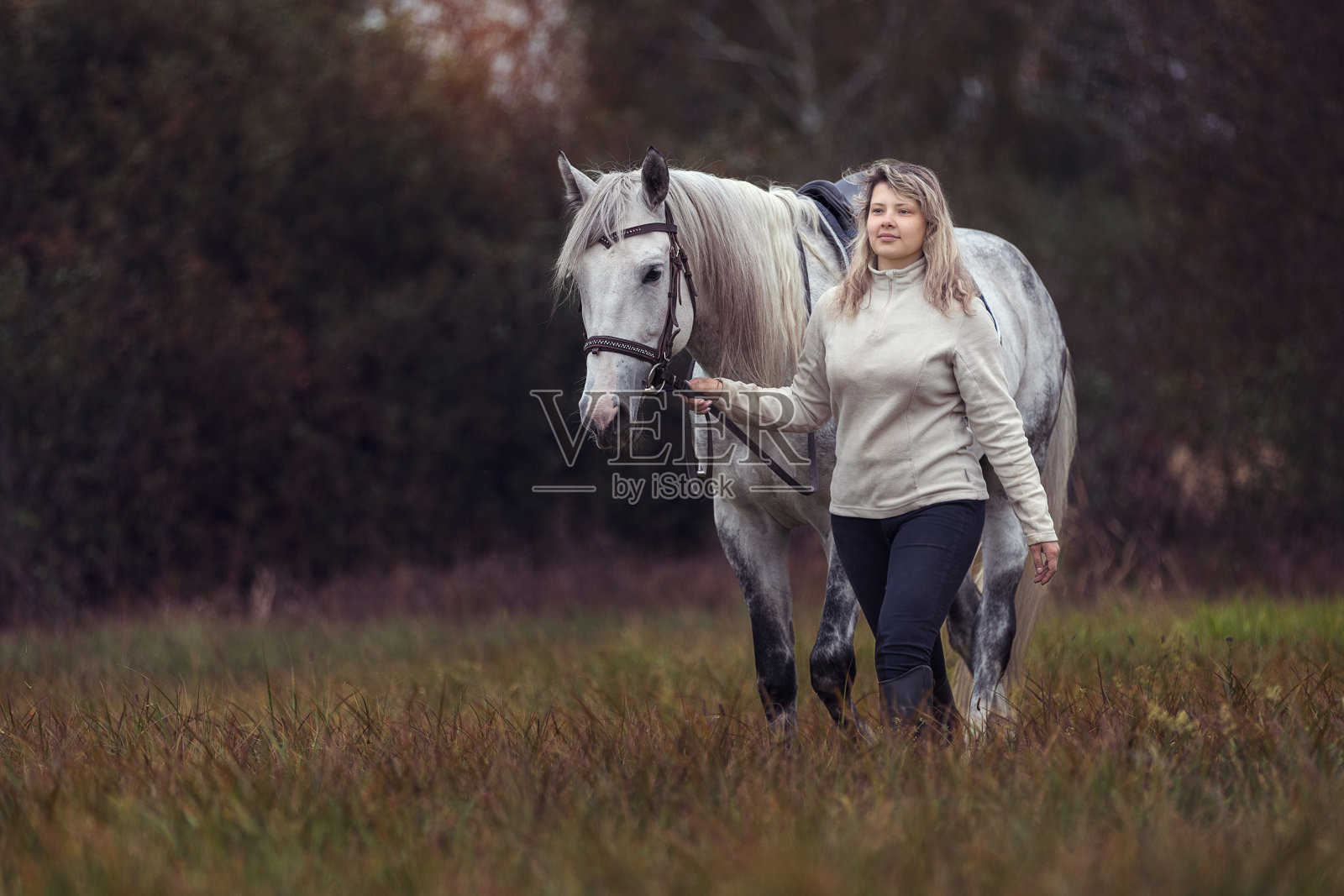 美丽的年轻女士和纯种阿拉伯种马照片摄影图片