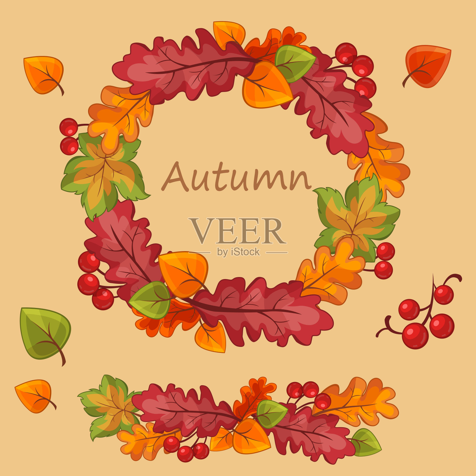 秋天设置的叶子和荚在光的背景插画图片素材