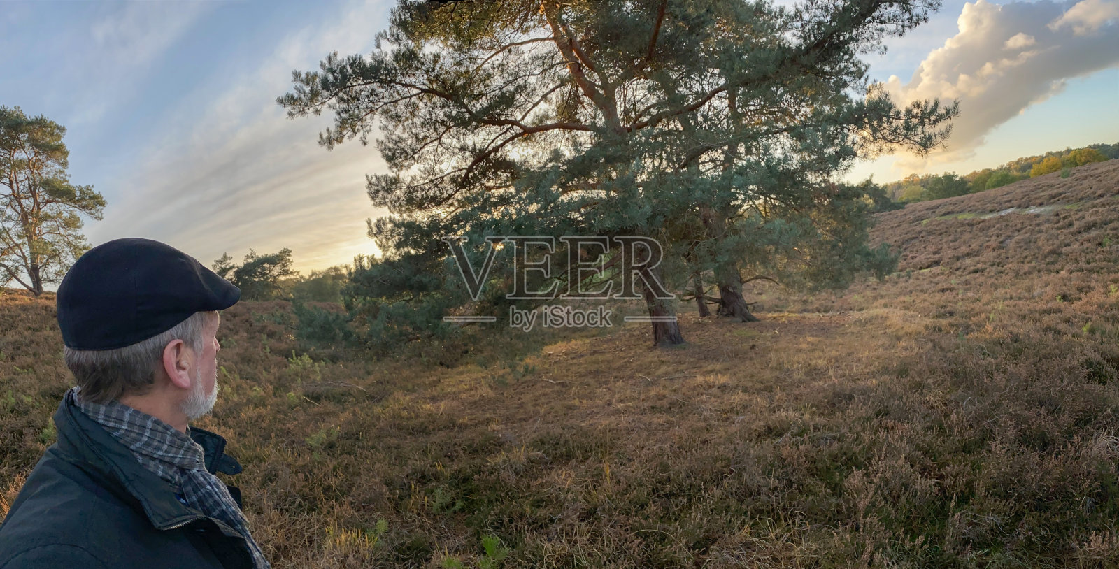 人们正在观赏秋天的荒地照片摄影图片