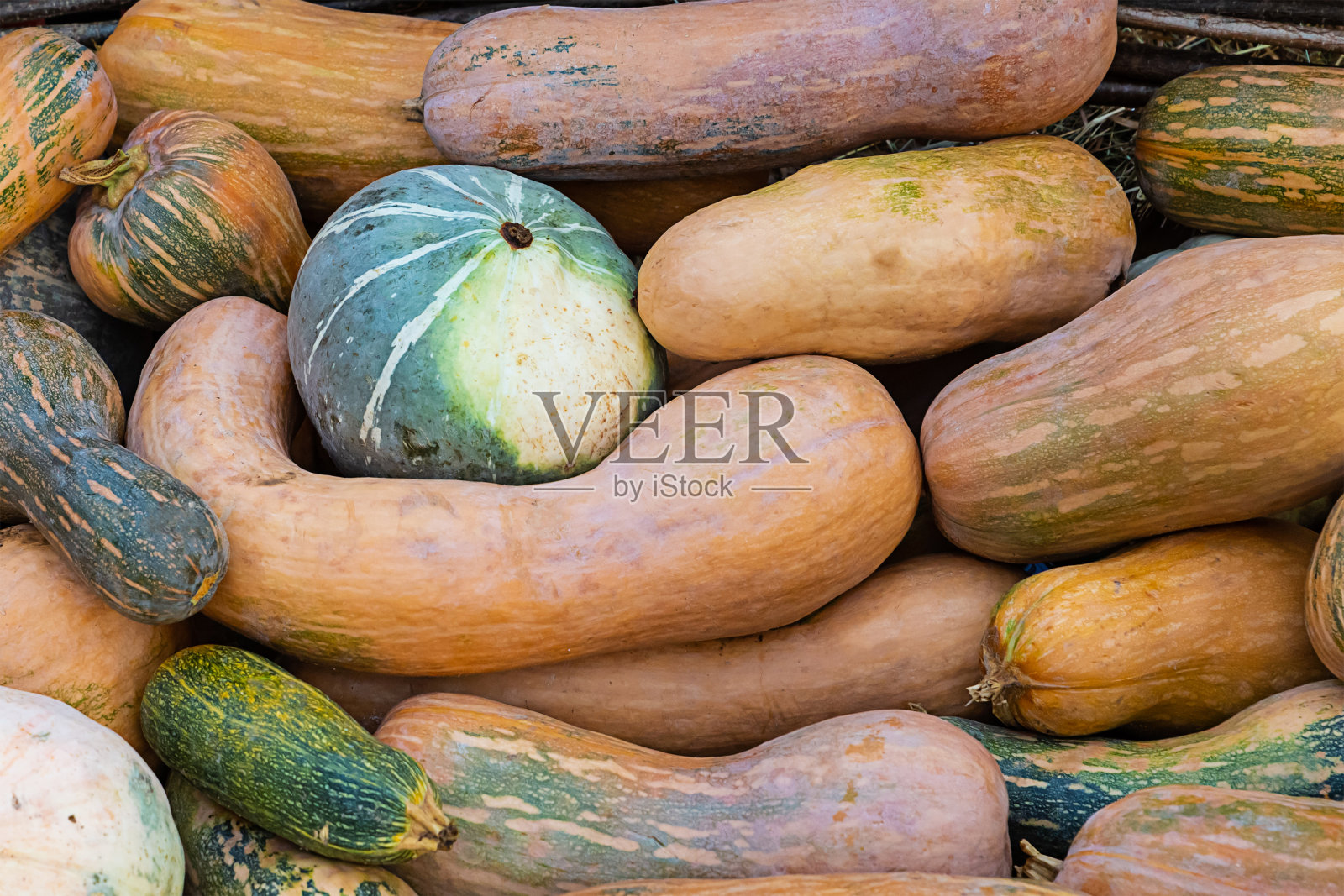 橙色长南瓜背景蔬菜图案秋季设计照片摄影图片