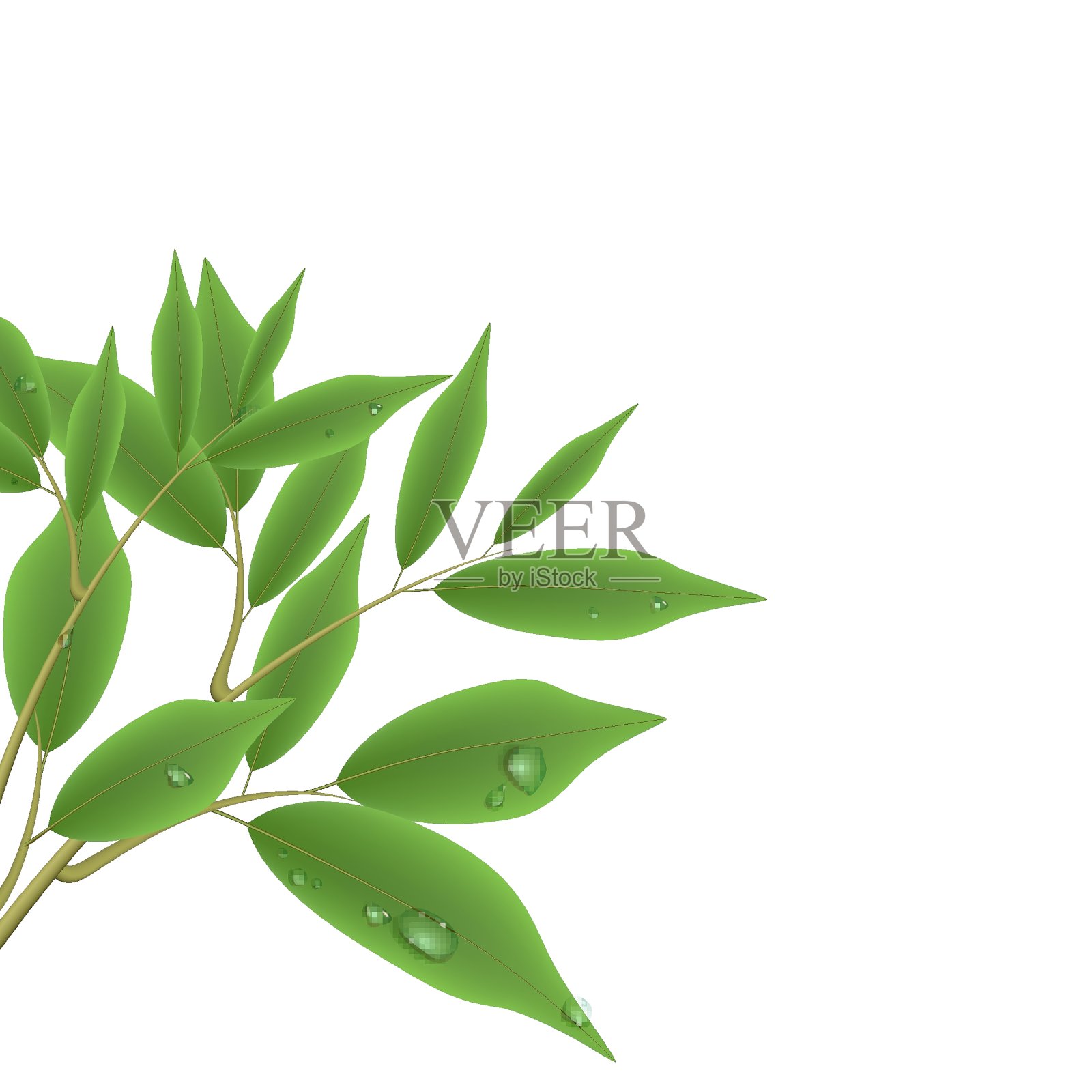 绿色的树枝设计元素图片