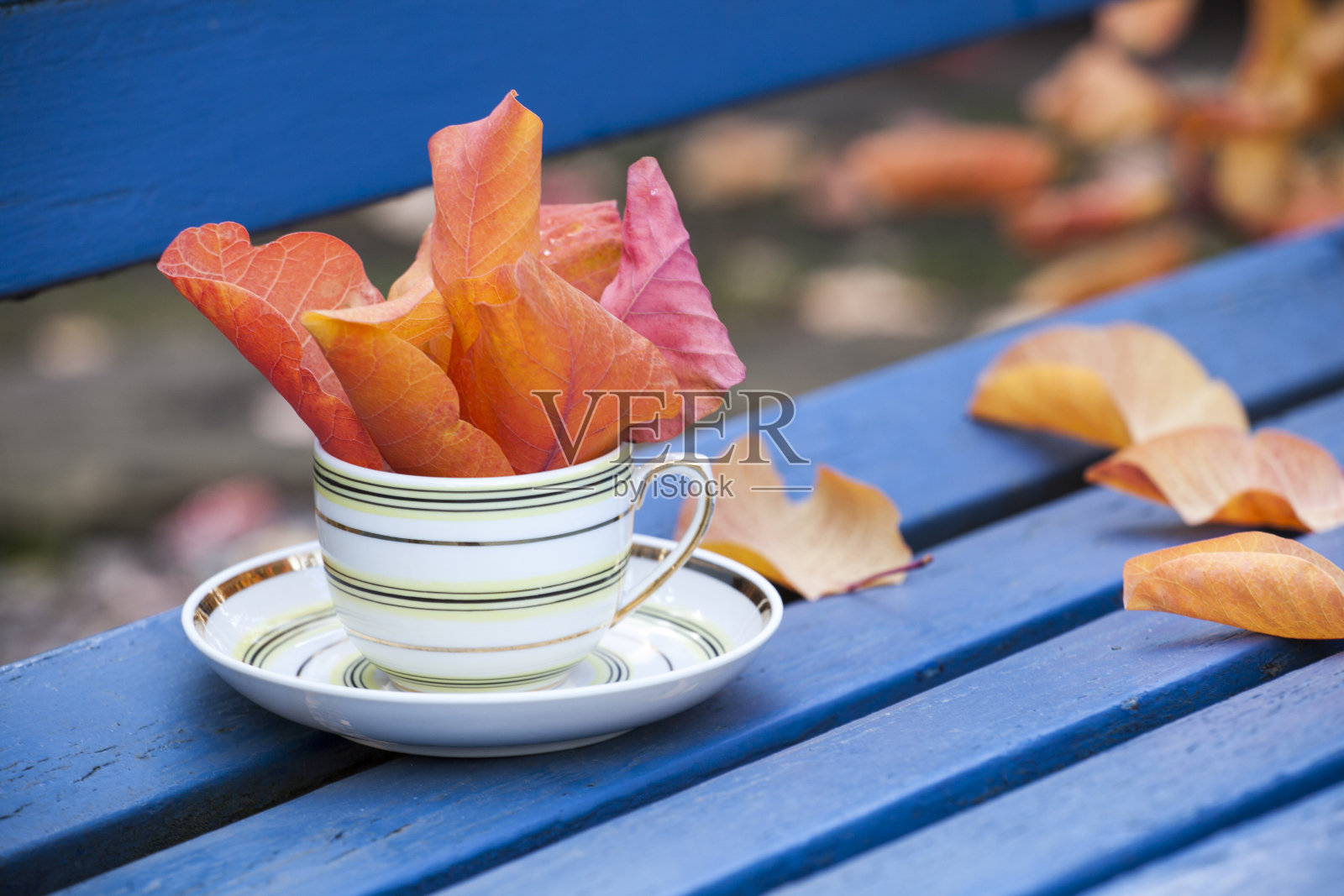 茶杯、秋叶与长椅照片摄影图片