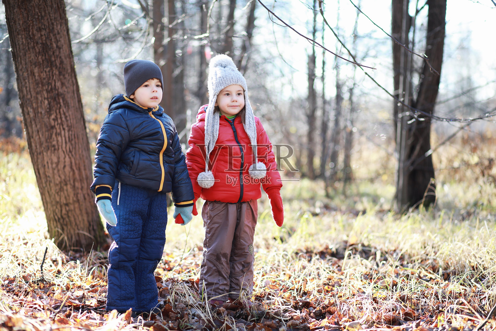 孩子们在秋季公园散步照片摄影图片