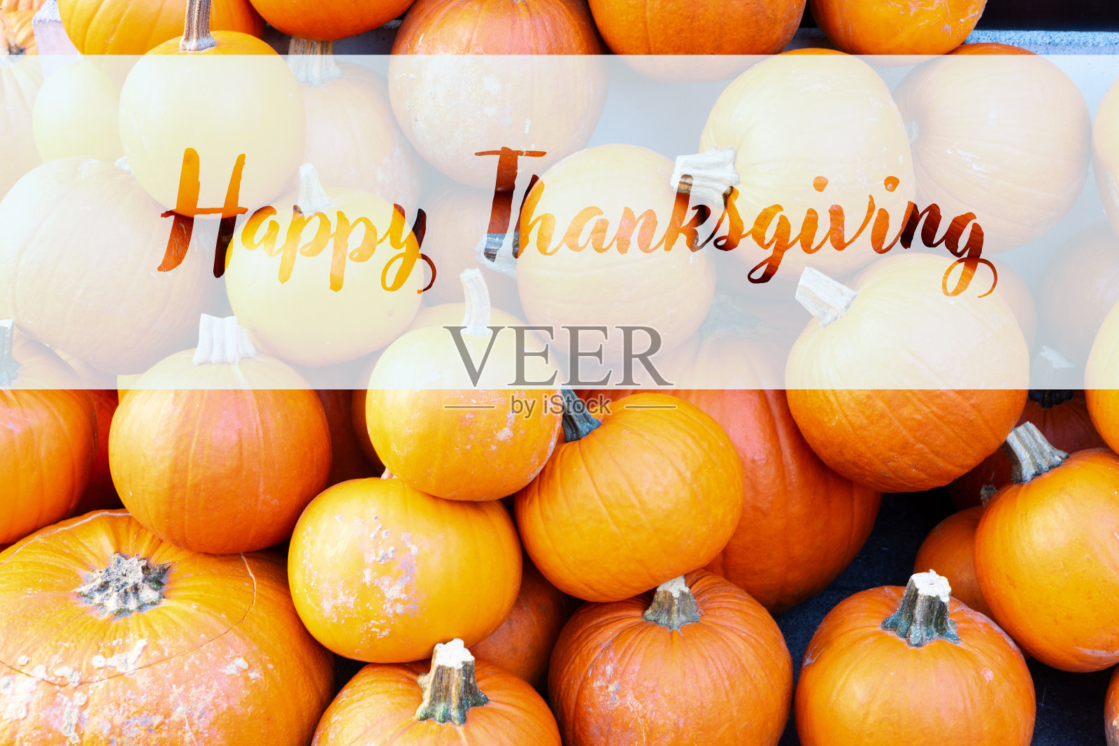 南瓜在表照片摄影图片