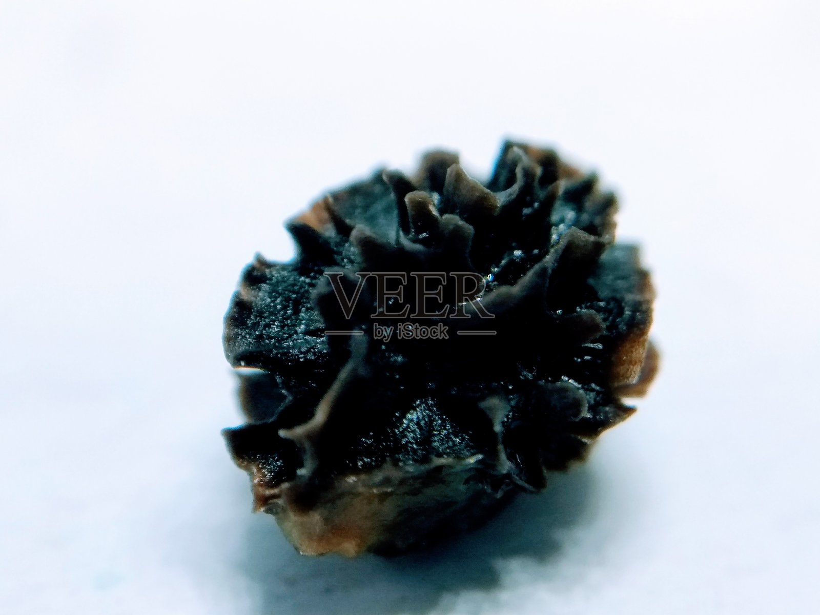 一张木瓜种子的图片照片摄影图片