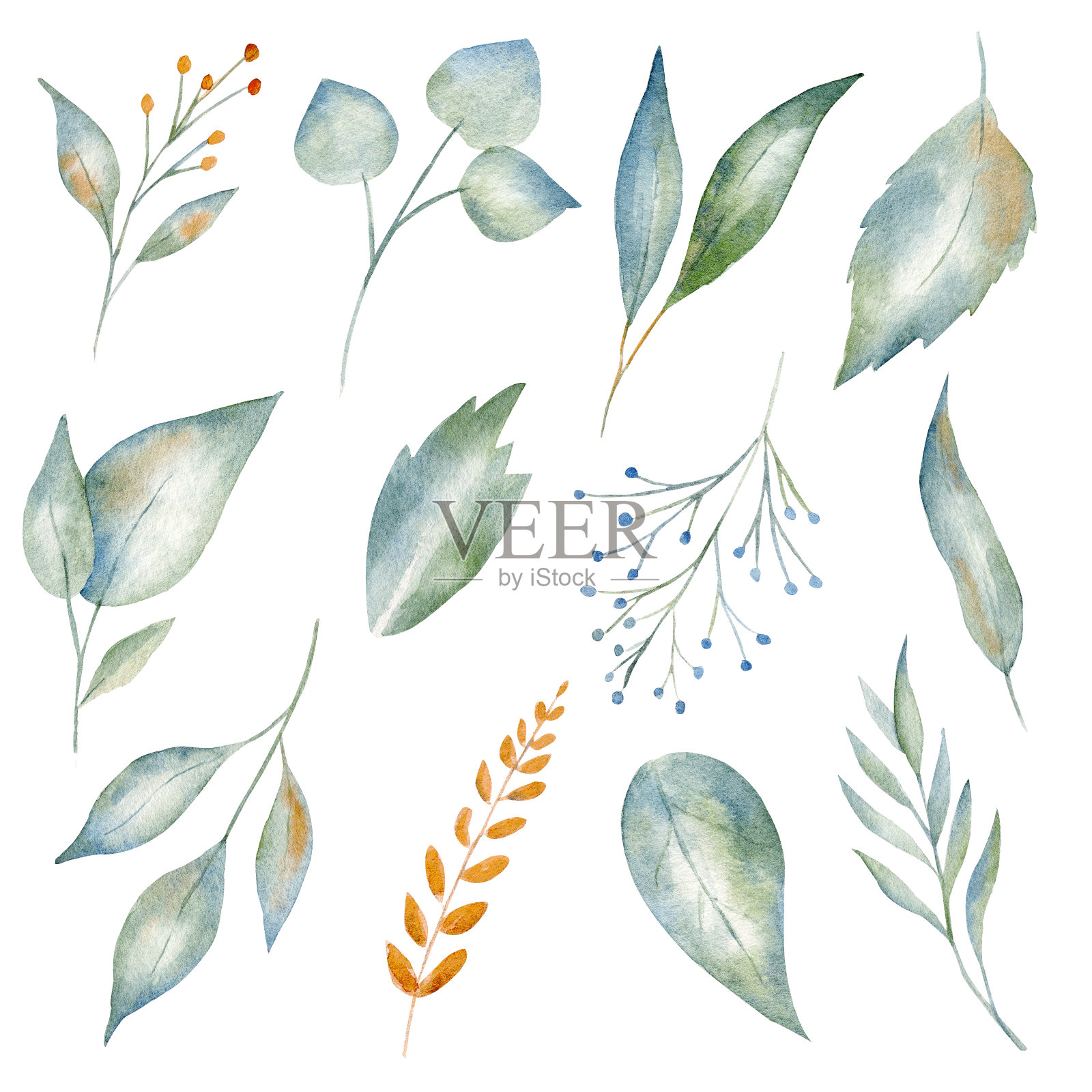 美丽的绿色和黄色树叶水彩光栅插图集插画图片素材