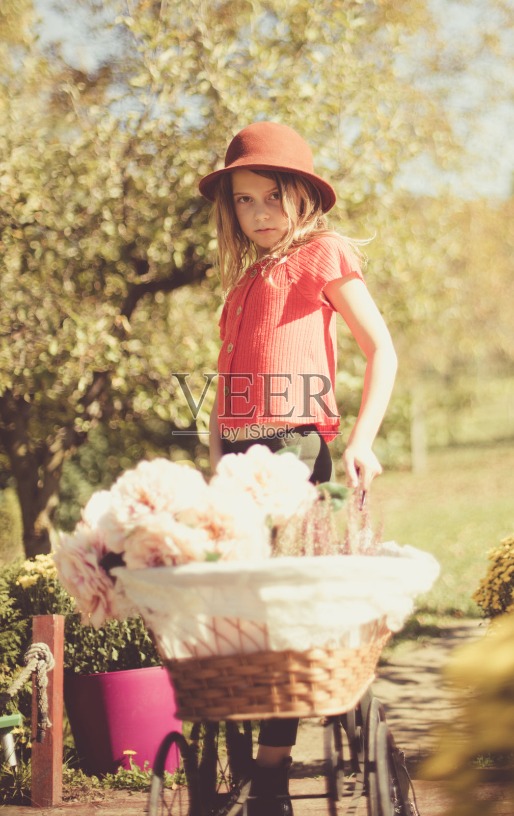 我喜欢玫瑰。照片摄影图片