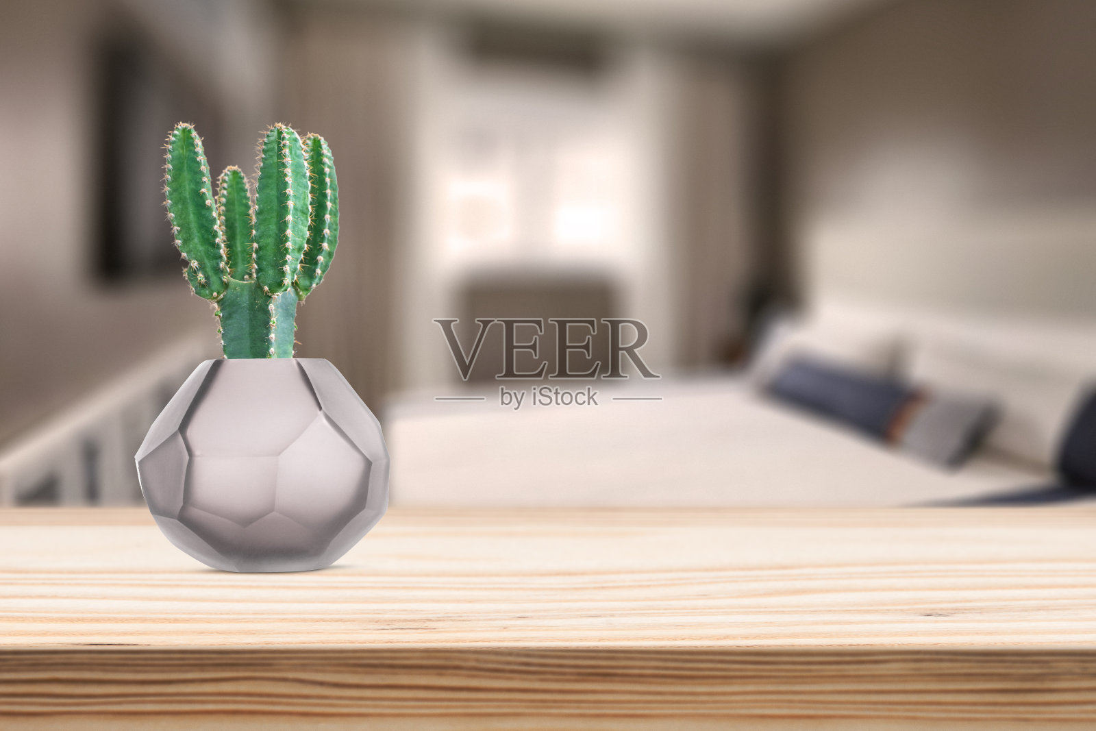 客厅桌上花瓶花盆上插仙人掌的水泥花瓶照片摄影图片