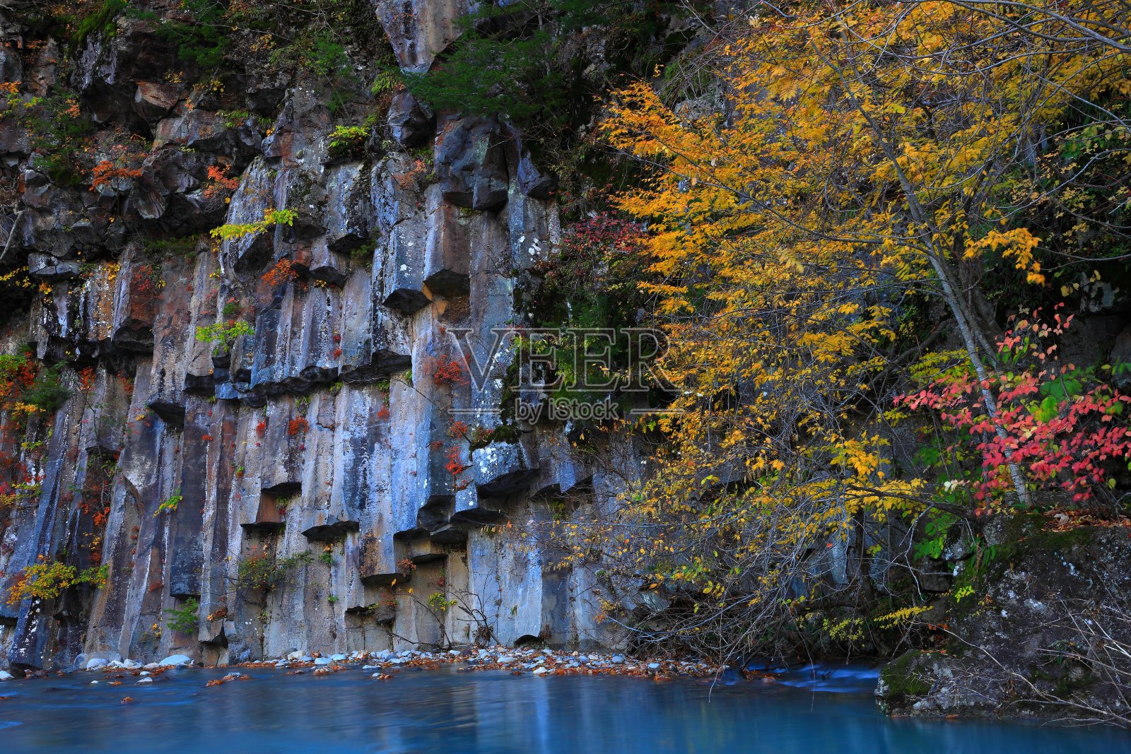 岩手县八爪蔓台的彩色叶子照片摄影图片