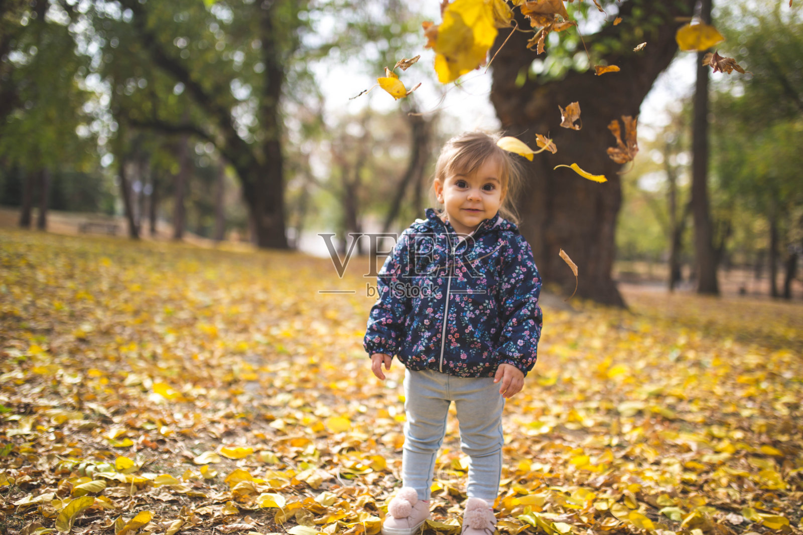 秋天的时候，小女孩在公园里玩树叶照片摄影图片
