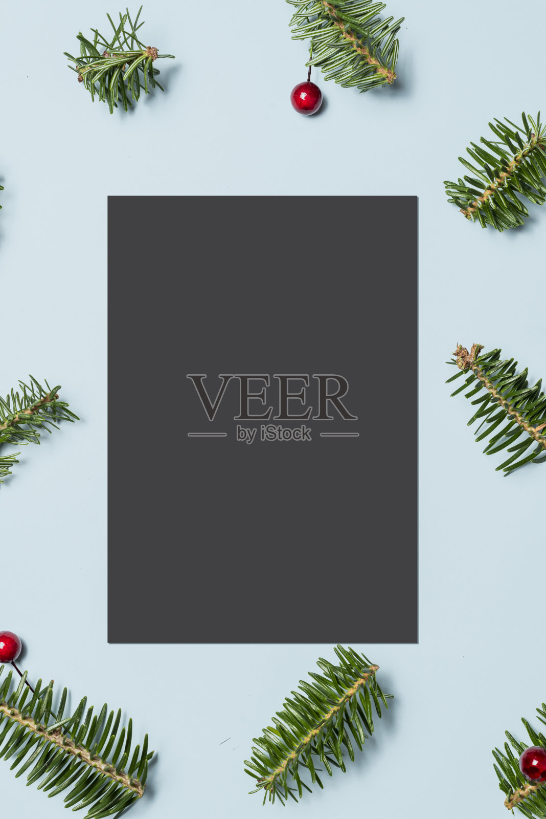 空白卡片与冷杉树枝和红色浆果装饰在蓝色的背景照片摄影图片