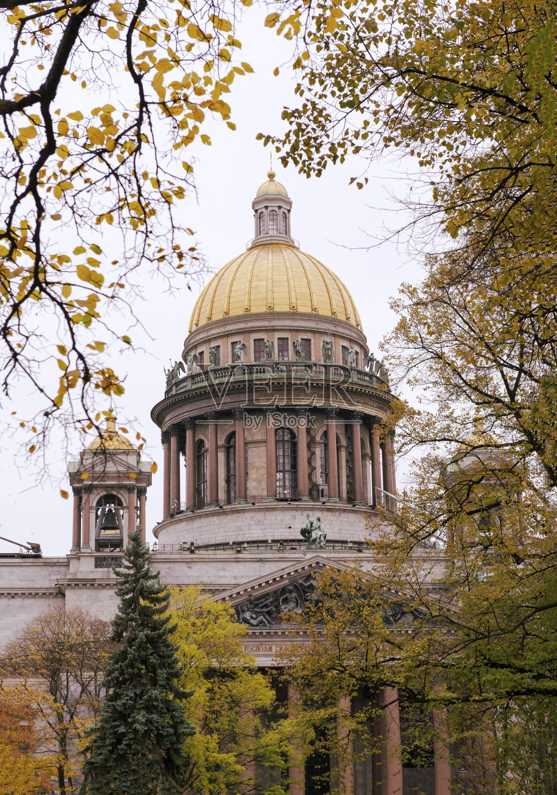 圣以撒大教堂，金色的圆顶镶嵌在秋叶金黄的树枝中，圣彼得堡，照片摄影图片