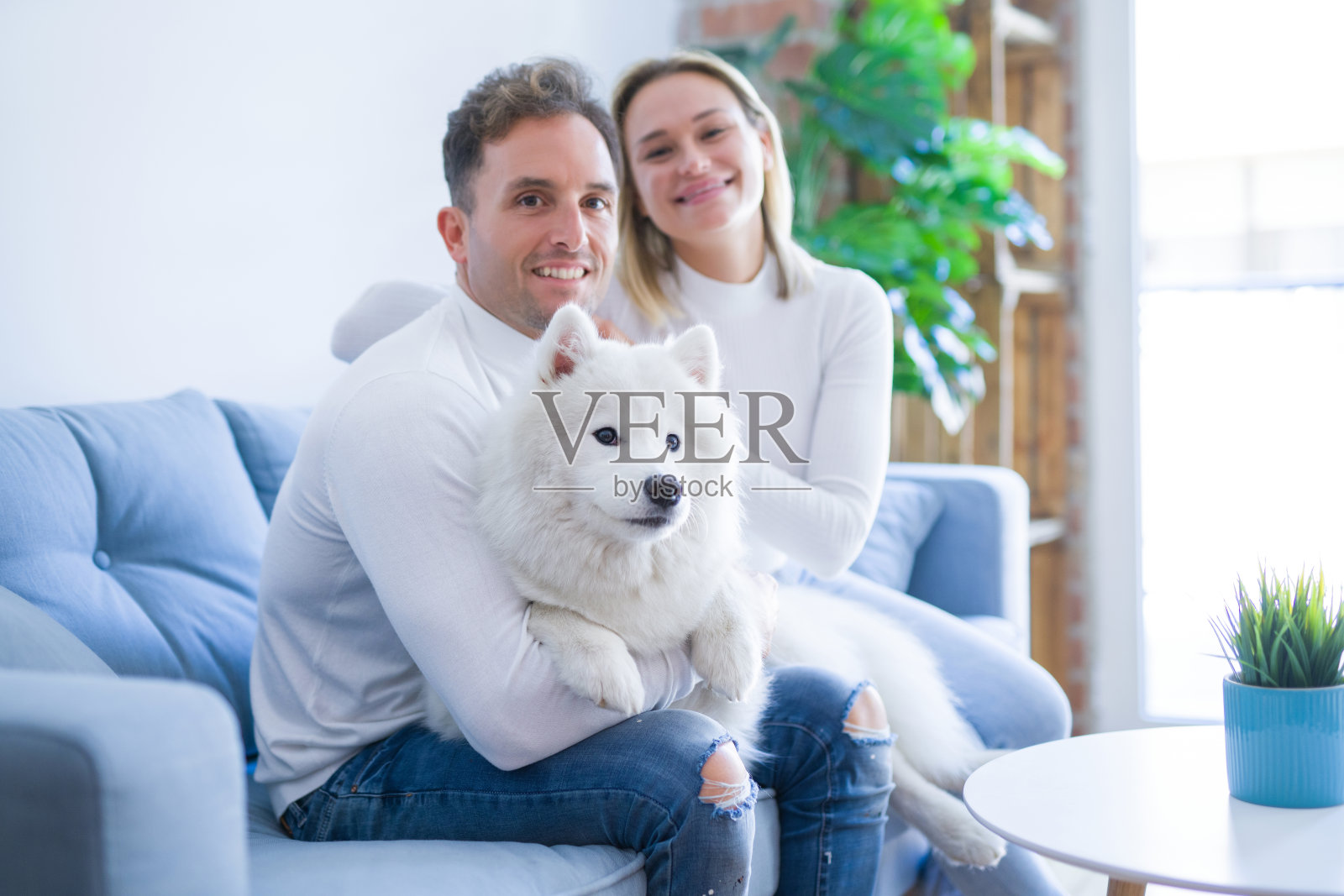 年轻美丽的夫妇和狗坐在沙发上的新家周围的纸箱照片摄影图片