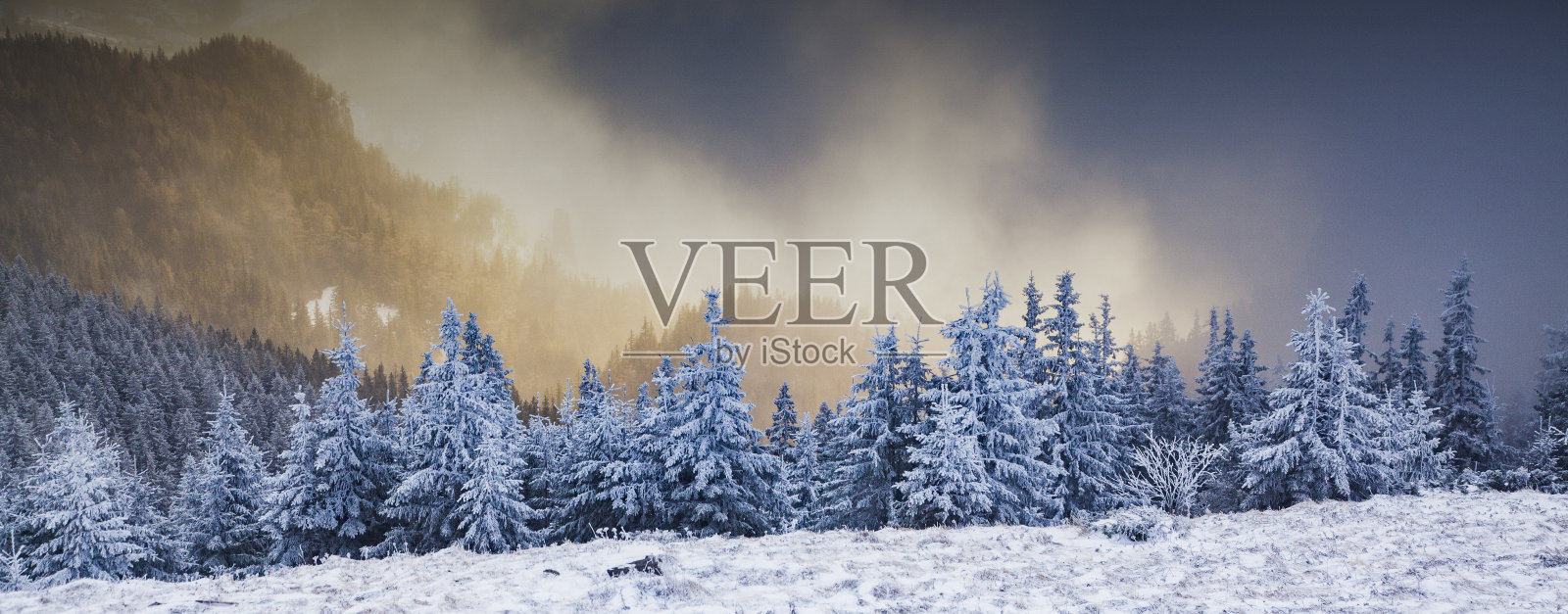 冬天的风景与雪山冷杉树照片摄影图片