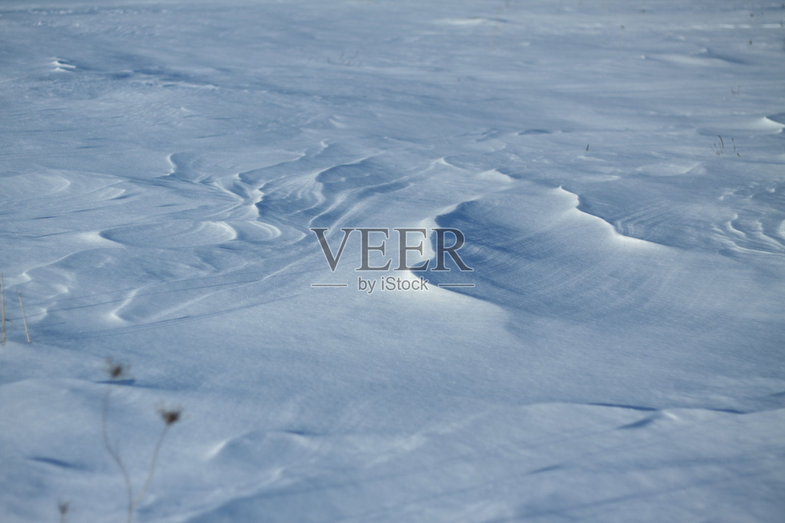 白雪和被它庇护的大地。农村和降雪。冬天的沙丘和雪山。股票的背景。照片摄影图片