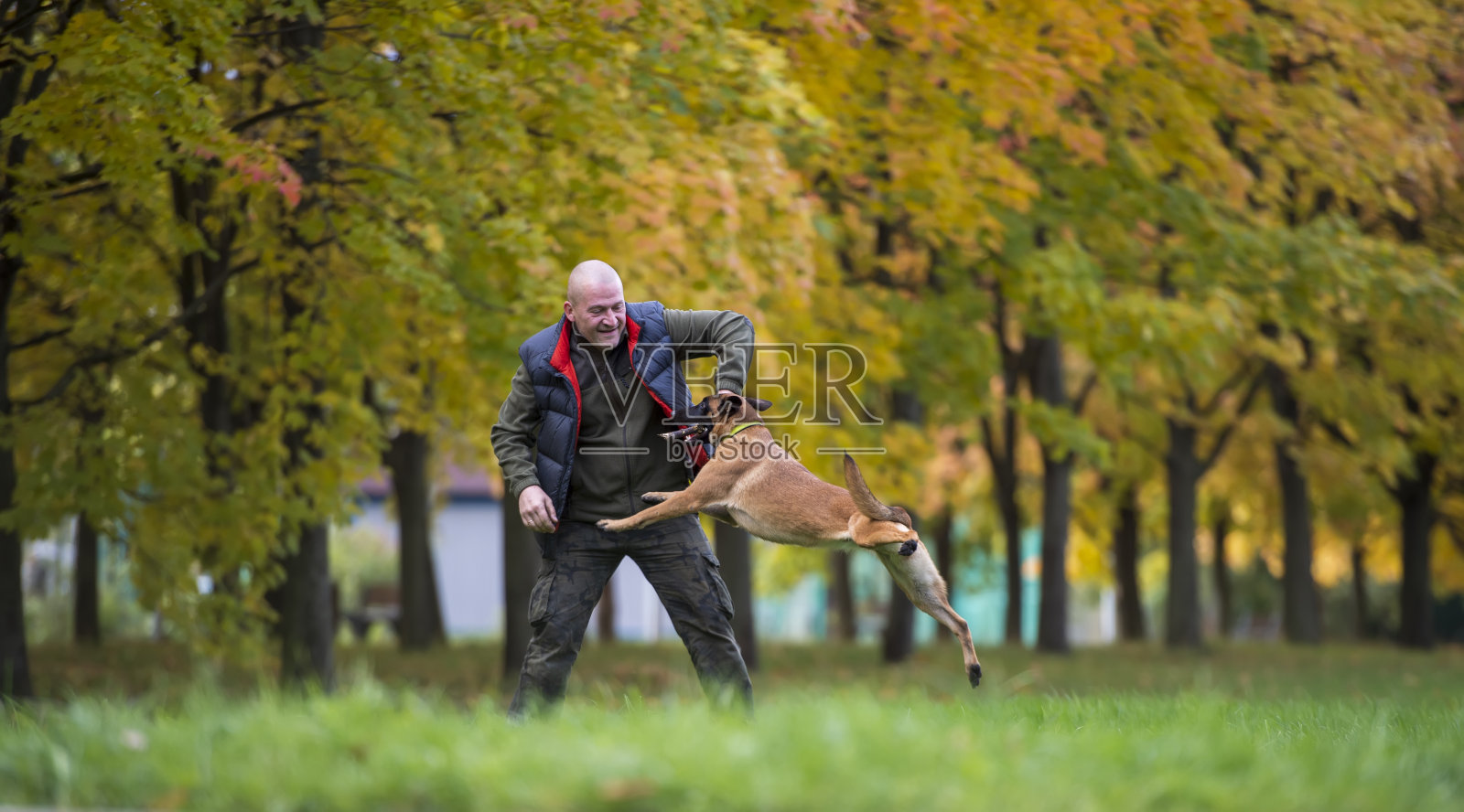 一个中年男子在秋天的公园里和一只狗玩耍照片摄影图片
