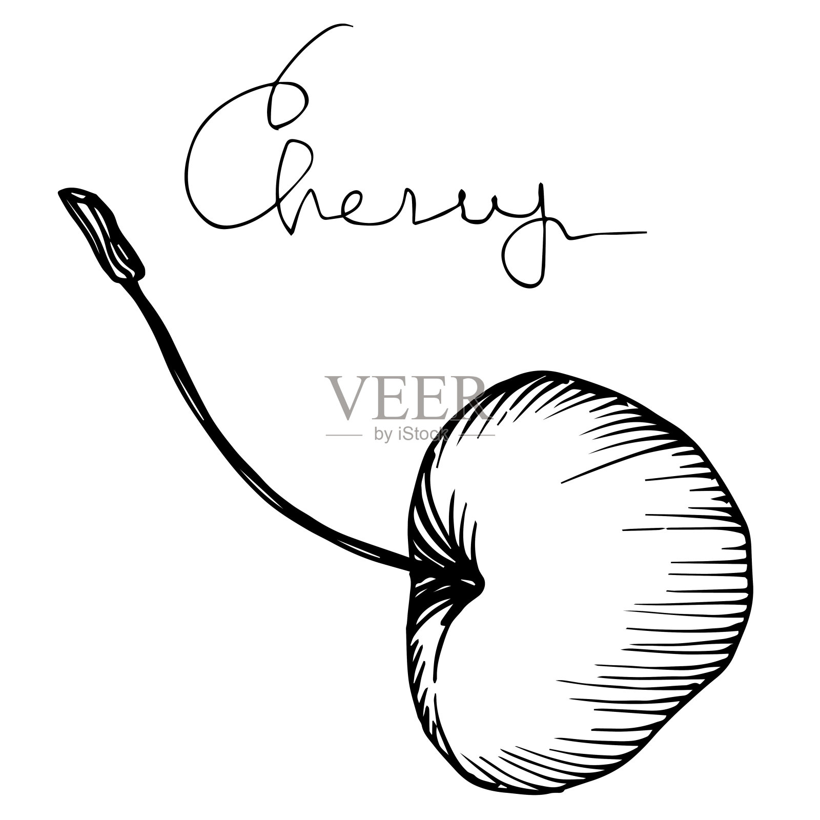矢量樱桃健康食品。黑白篆刻水墨艺术。孤立的浆果插图元素。插画图片素材
