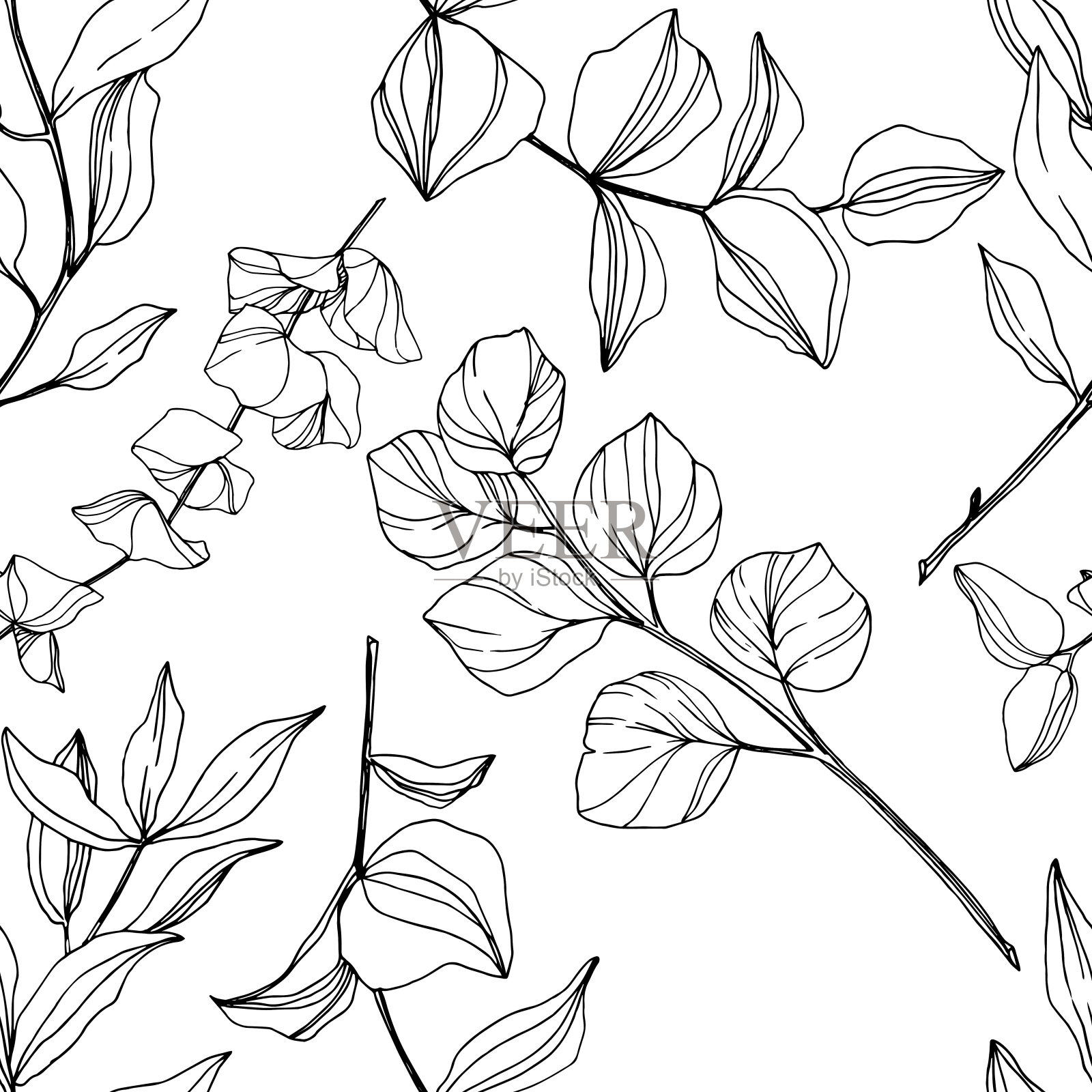 矢桉树叶丛林植物。黑白篆刻水墨艺术。无缝的背景图案。插画图片素材