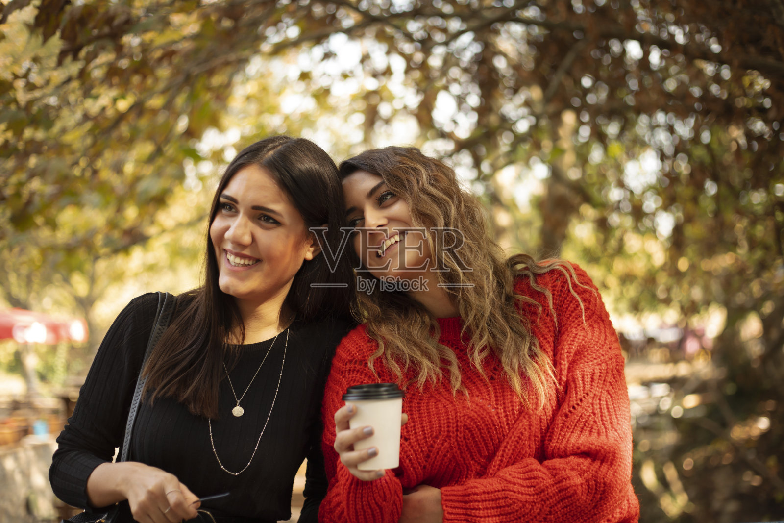 两个闺蜜在聊天，两个小女孩在公园里照片摄影图片