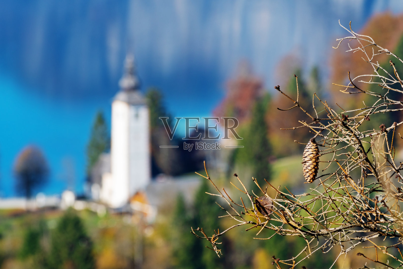 干树枝上的云杉圆锥，背景是湖边的一座古老的天主教堂照片摄影图片